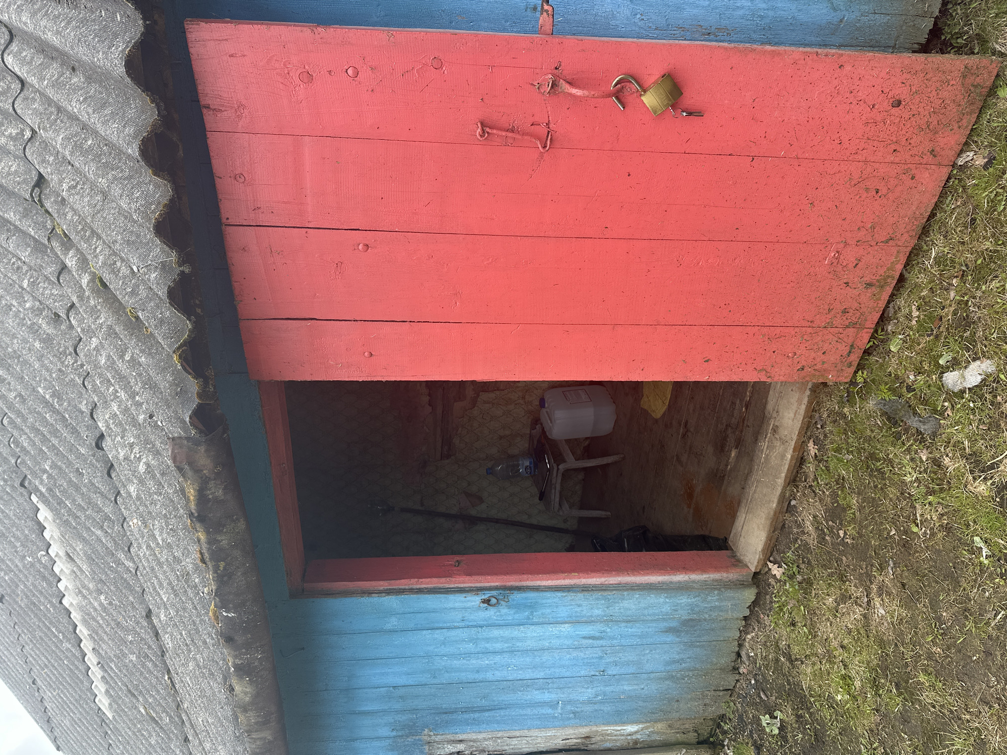 An open, weathered outdoor cellar door with a red upper portion and a blue lower portion is ajar, revealing a glimpse into the cellar's interior. A grey, corrugated roof overhangs the entrance. The door is secured with an open gold padlock and a simple hasp. The cellar interior appears to contain miscellaneous items including a white plastic container, a plastic bottle, a white chair, and a black plastic bag. The foreground is a patch of grass and dirt. The scene is located outdoors in Студзёнкаўскі сельскі Савет, Belarus.