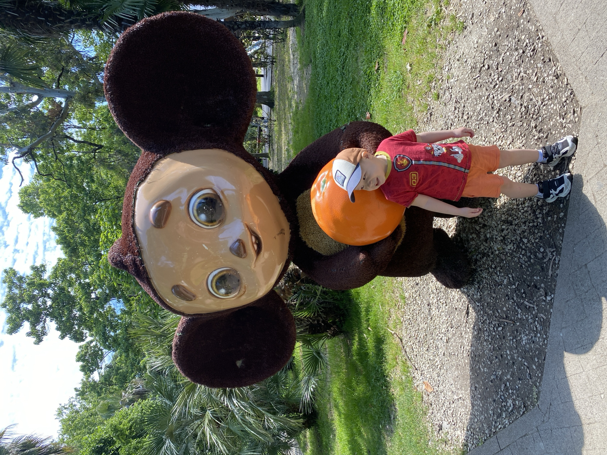 This outdoor image features a young child interacting with a large, brown statue of a cartoon character, likely Cheburashka, in what appears to be a park or garden in Sochi, Russia.
The main subjects are a young boy and the statue. The statue is large, with a textured brown body resembling fur or bristles, a light brown, smooth face, and prominent large, round eyes. It is depicted holding an orange ball, which the boy is resting his head on.
The boy is dressed in a red t-shirt with a Paw Patrol design, including a "03" emblem on the right chest, orange shorts, a white and brown baseball cap, and black and white sneakers. He is lying on his back on a gravel path next to the statue, with his head casually resting on the orange ball.
The setting is outdoors, characterized by abundant greenery, including tall trees with leafy canopies and some palm-like foliage, suggesting a warm climate. The ground consists of a gravel path where the boy is lying, transitioning to a concrete path on the right.
The activity shows the child playfully posing or resting with the statue. The bright lighting and clear shadows indicate a sunny day, likely midday or early afternoon. The overall mood appears relaxed and cheerful. No other legible text is visible in the image besides the "03" on the boy's shirt.
