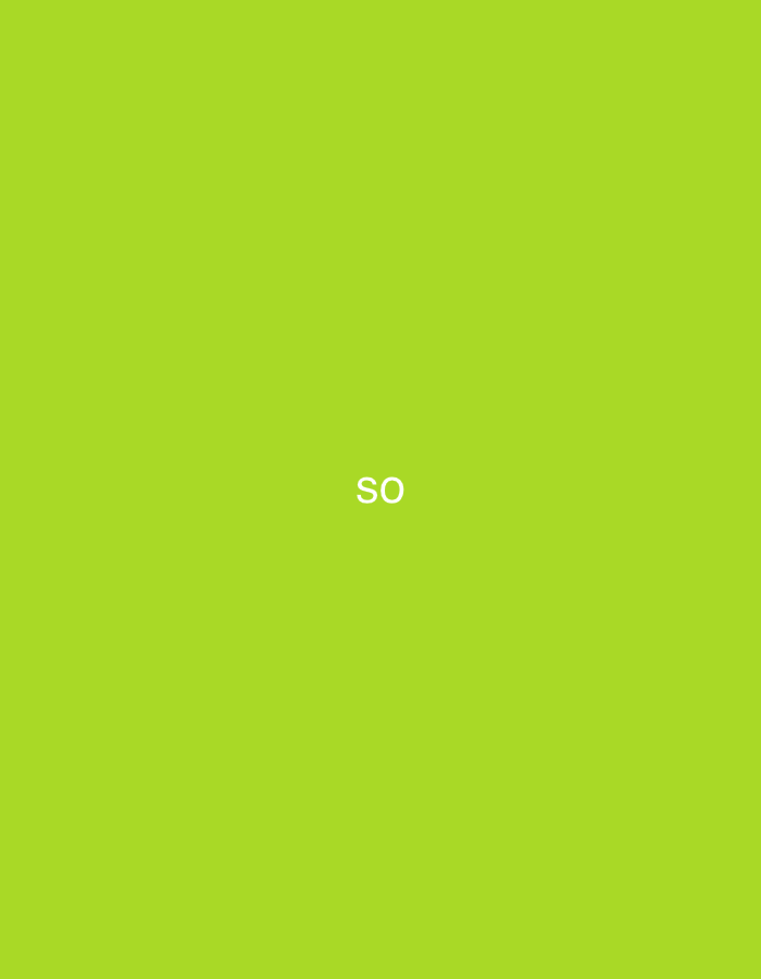 The image displays a uniform, solid lime green background. Centered horizontally and slightly below the vertical midline are two capital letters, "SO," rendered in solid white. There are no discernible people, subjects, objects, or environmental features present within the frame. The image provides no visual information or contextual clues to indicate a specific location, including Casablanca, Morocco, or any other geographical setting.