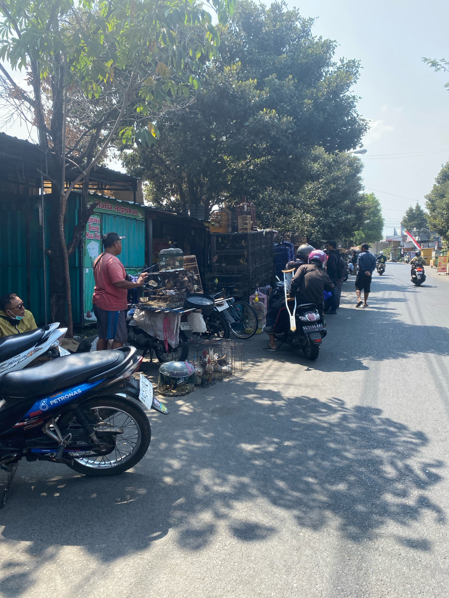 This is a street scene in Kediri City, Indonesia, under a clear, sunny sky. The image captures a lively roadside market, likely selling birds. In the foreground, two motorcycles are parked on the right side of the road. The left motorcycle is blue and black with "PETRONAS" branding. Further down the street, other motorcycles are in motion, some with riders and passengers, and one being ridden by a person with a cast on their leg and using crutches.
On the left side of the road, a man in a pink shirt and blue shorts stands next to a display of bird cages. He appears to be attending to the birds. Beside him, another man wearing a yellow jacket and a face mask sits on a motorcycle. Behind the bird cages are structures that appear to be stalls or shops, with some signage visible. One sign reads "Mafia Alpukat".
The street is paved, and shadows from trees are cast across the road, indicating a bright day. The background shows more trees, buildings, and what appears to be the continued stretch of the road with more activity further in the distance. The overall impression is of a busy, everyday commercial scene in an Indonesian city.