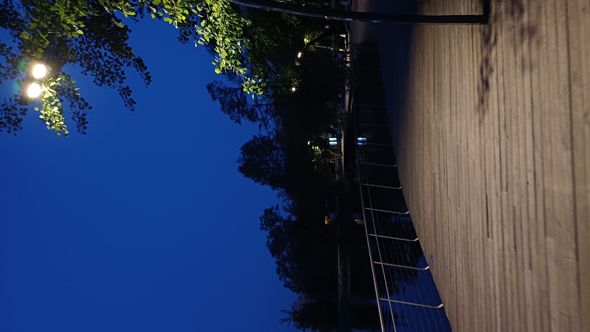 Captured at night, the image presents a scene in Balashikha, Russia. A dark blue sky fills the majority of the frame. Illuminated trees with green leaves appear in the top left corner. A wooden walkway bordered by a metal fence stretches across the right side of the image. Streetlights are visible in the background amidst the trees. The overall impression is of a peaceful, dimly lit urban park area at night.