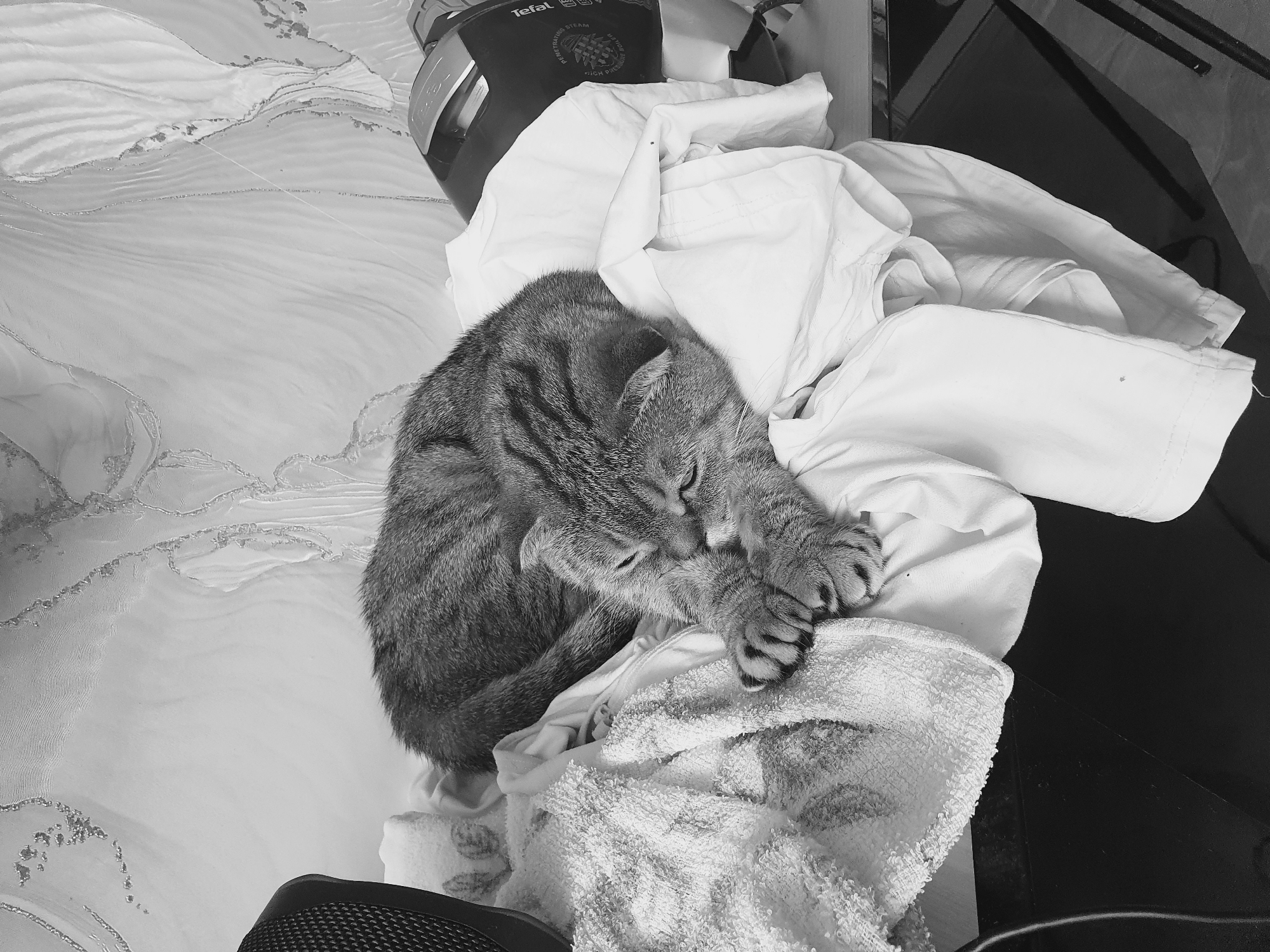 A grayscale, high-angle, full shot shows a tabby cat sleeping on a pile of white laundry. The cat is curled up with its paws covering its face. The laundry is piled on a surface that appears to be next to a black object. In the background is a Tefal brand iron. The location is unspecified, so I cannot place it in Ulyanovsk, Russia.
