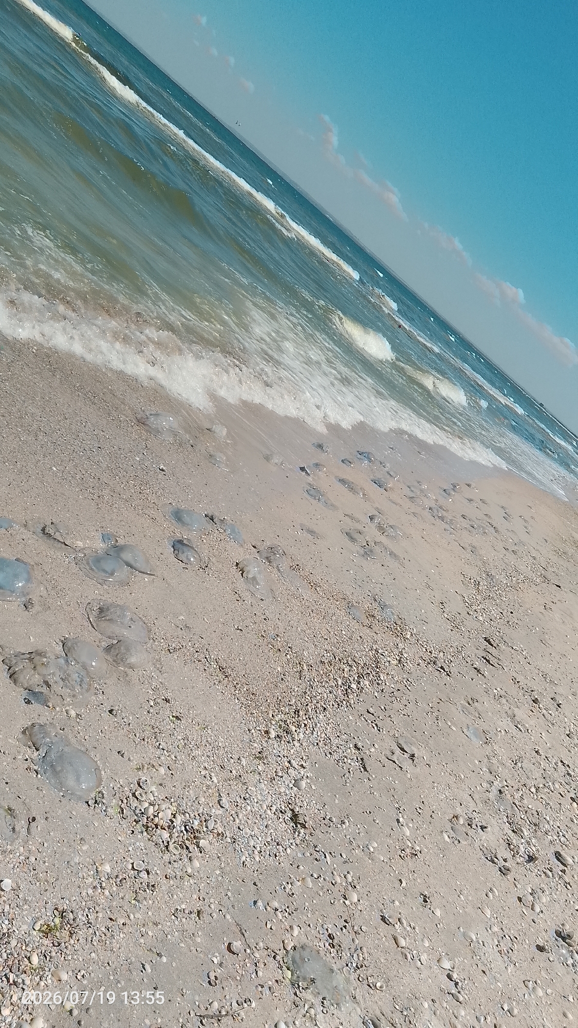 The image depicts a beach in Мысовское сельское поселение, Ukraine. The foreground is dominated by a sandy beach littered with numerous jellyfish. The sand is mixed with small shells and pebbles. In the background, the sea rolls in with foamy waves breaking onto the shore. The water is a greenish-blue color, and the sky above is clear blue with a few wispy clouds. The timestamp in the bottom left corner indicates the image was taken on 2026/07/19 at 13:55. No people are visible in the image.