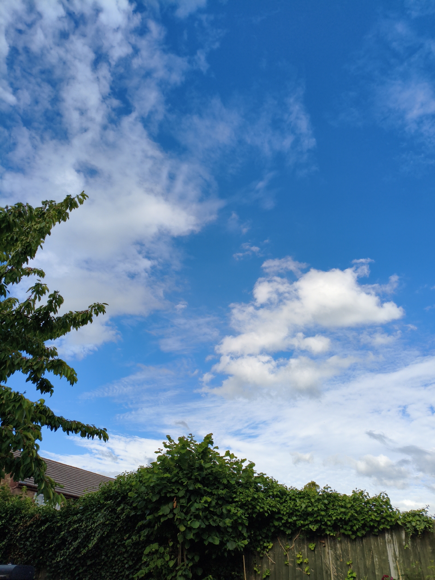 A low-angle outdoor shot captures a vibrant blue sky filled with scattered white cumulus clouds. On the left, the leafy branches of a tree extend into the frame, their dark green foliage contrasting with the bright sky. Below the tree and to the right, a line of lush green bushes and trees forms a dense hedge. Partially visible behind the hedge on the left is the brown tiled roof of a building. A weathered wooden fence runs horizontally across the bottom of the image, supporting some of the greenery. The scene is consistent with a residential garden in Wychavon, United Kingdom, under a partly cloudy sky. No people or animals are visible.