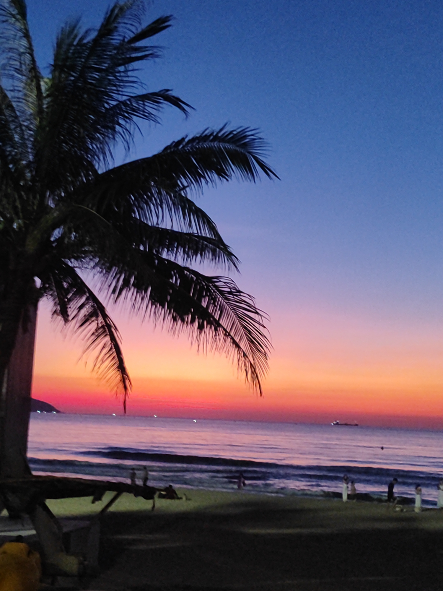 This is a photograph of a beach at dusk, likely in Da Nang, Vietnam, given the presence of palm trees and the style of the beach scene. A silhouetted palm tree dominates the left side of the frame, its fronds reaching towards the sky. The sky transitions from a deep blue at the top to vibrant hues of pink, orange, and yellow near the horizon, indicative of sunset or twilight. The ocean is visible, with gentle waves lapping against the shore. In the distance, a ship can be seen on the water. On the beach, several figures are present, appearing as dark silhouettes against the illuminated sand and sea. Some figures are standing near the water's edge, while others are further back, possibly seated. A dark, abstract object, potentially a piece of beach furniture or debris, is in the foreground on the left. The overall mood is serene and tropical.