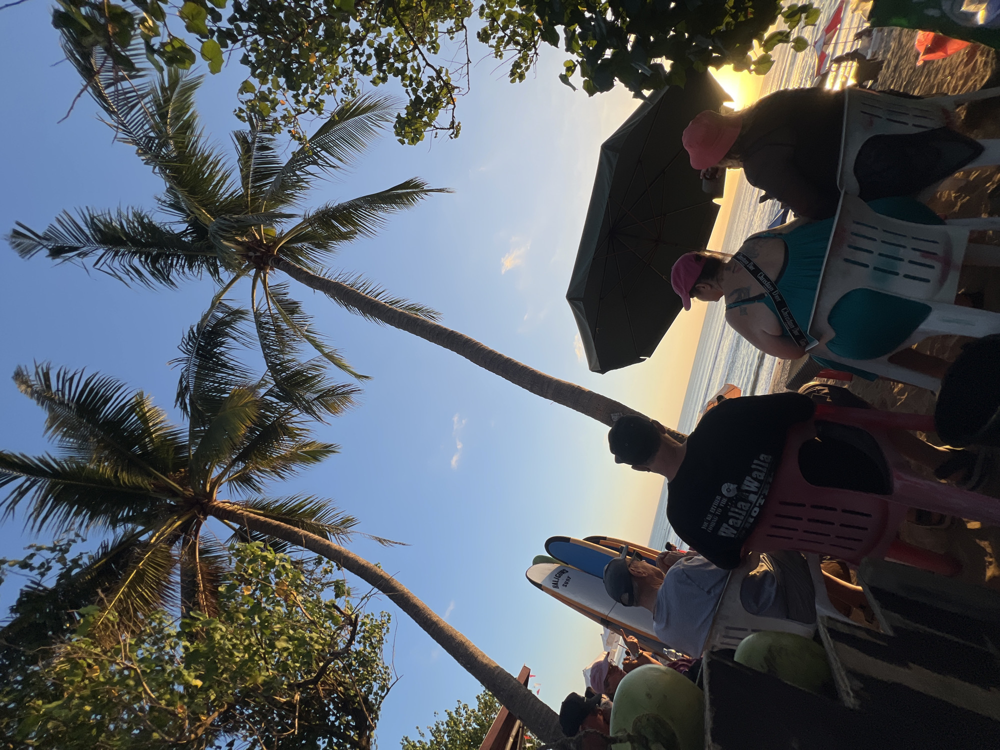 This image depicts a group of people sitting on chairs on a beach in Kuta, Indonesia, facing the ocean. Two prominent palm trees frame the scene against a clear blue sky with a few wisps of clouds. In the foreground, to the left, are two whole coconuts on a wooden surface. Several surfboards are leaning against a structure behind the group of people.
The group consists of at least six individuals, mostly viewed from the back. Some are wearing hats. One person in a black t-shirt has text on their back that reads "YOU'RE EITHER GOING TO THE WALLA WALLA HOTEL". Another person is wearing a turquoise dress and a pink hat. Two people are seated under a dark green umbrella. The sun appears to be setting or rising, casting a warm glow on the water and the beach. In the background, the ocean stretches out to the horizon, with gentle waves. There are other beachgoers and umbrellas visible further down the beach. The overall atmosphere suggests a relaxed beachside setting, likely a cafe or bar on the coast of Kuta.