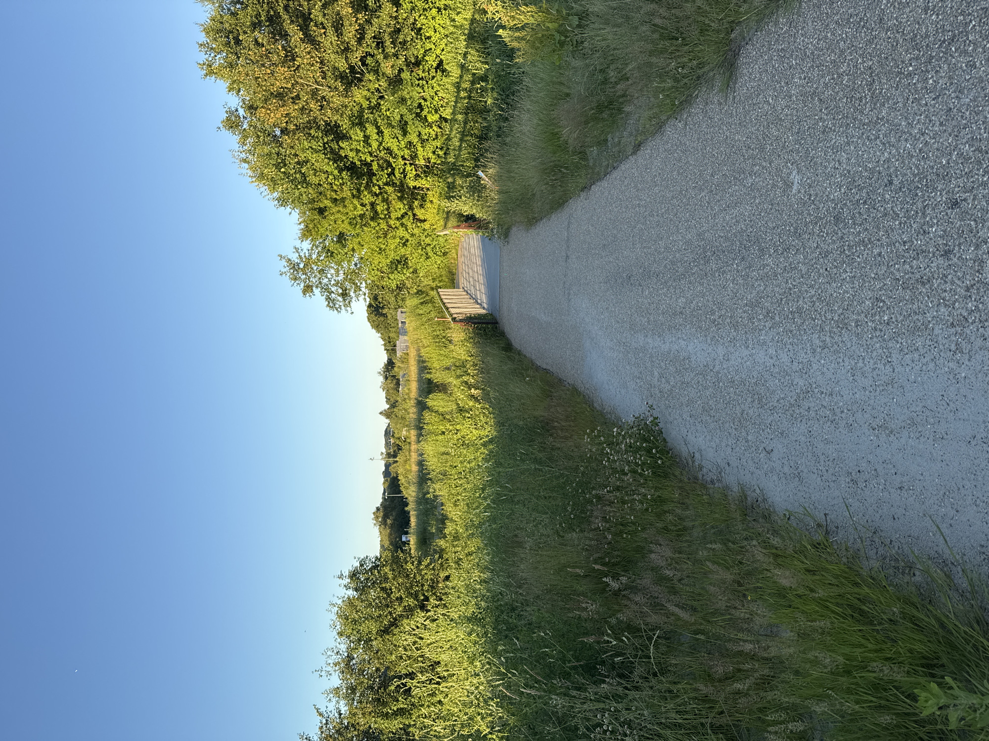 The image shows a walking path in a park-like setting, likely during the late afternoon or early evening, as indicated by the golden light. The path is made of gravel and leads towards a small wooden footbridge spanning a low ditch or stream. Lush green grass and vegetation line both sides of the path, with trees visible in the background. The sky is clear and blue, suggesting fair weather. In the distance, there are hints of urban structures and possibly more trees. The overall impression is one of a serene natural environment within or adjacent to a city. It is not possible to determine the exact location within Vejle, Denmark, from the image alone.