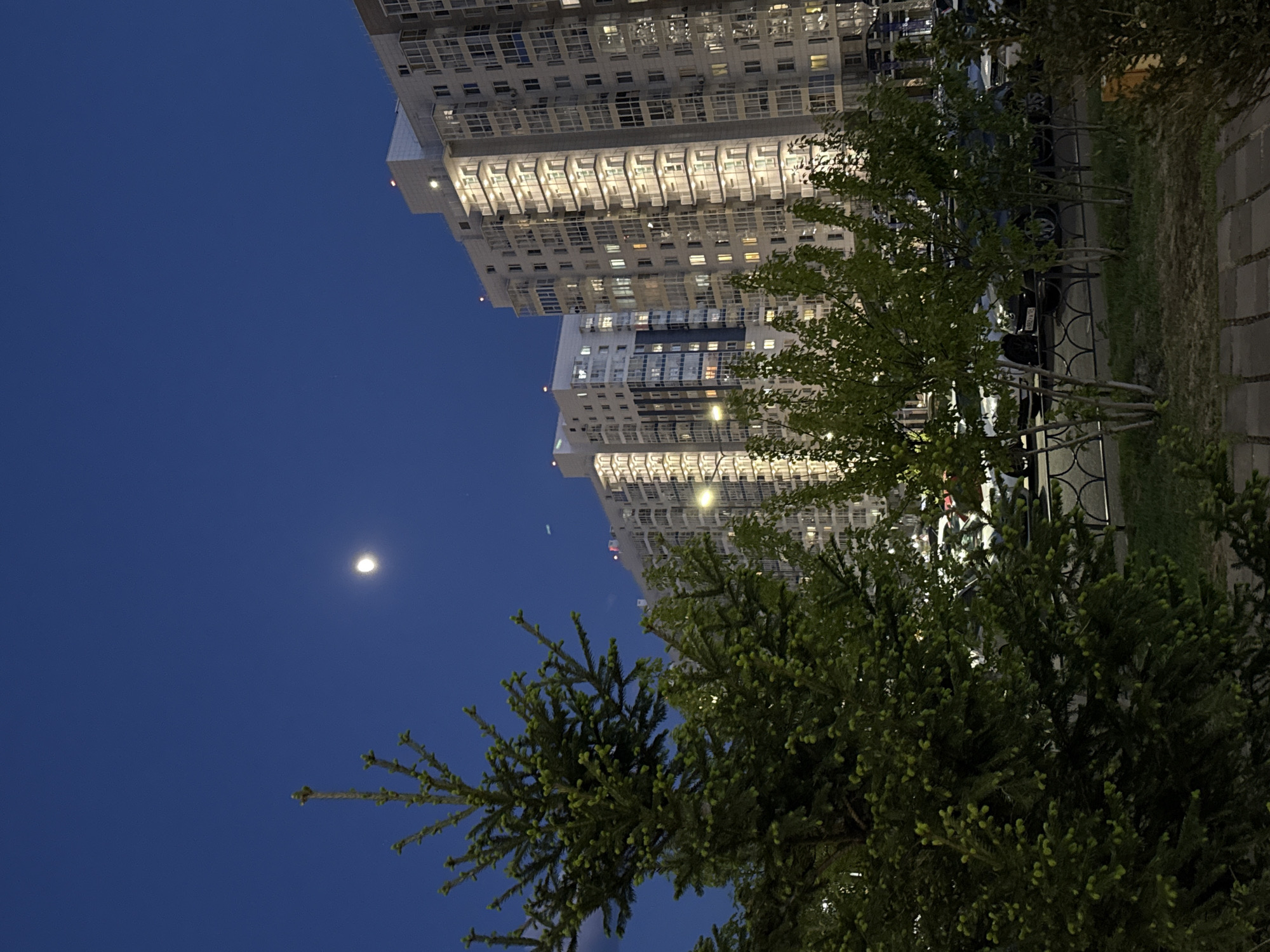 The photograph, taken at night, shows a cityscape of Krasnoyarsk, Russia. In the background are illuminated high-rise apartment buildings with numerous windows. A crescent moon is visible in the dark blue sky. In the foreground, green trees partially obscure the buildings. A sidewalk made of grey paving stones is visible on the right side of the frame, along with a dark fence. Cars are parked along the side of the road, partially obscured by the trees.