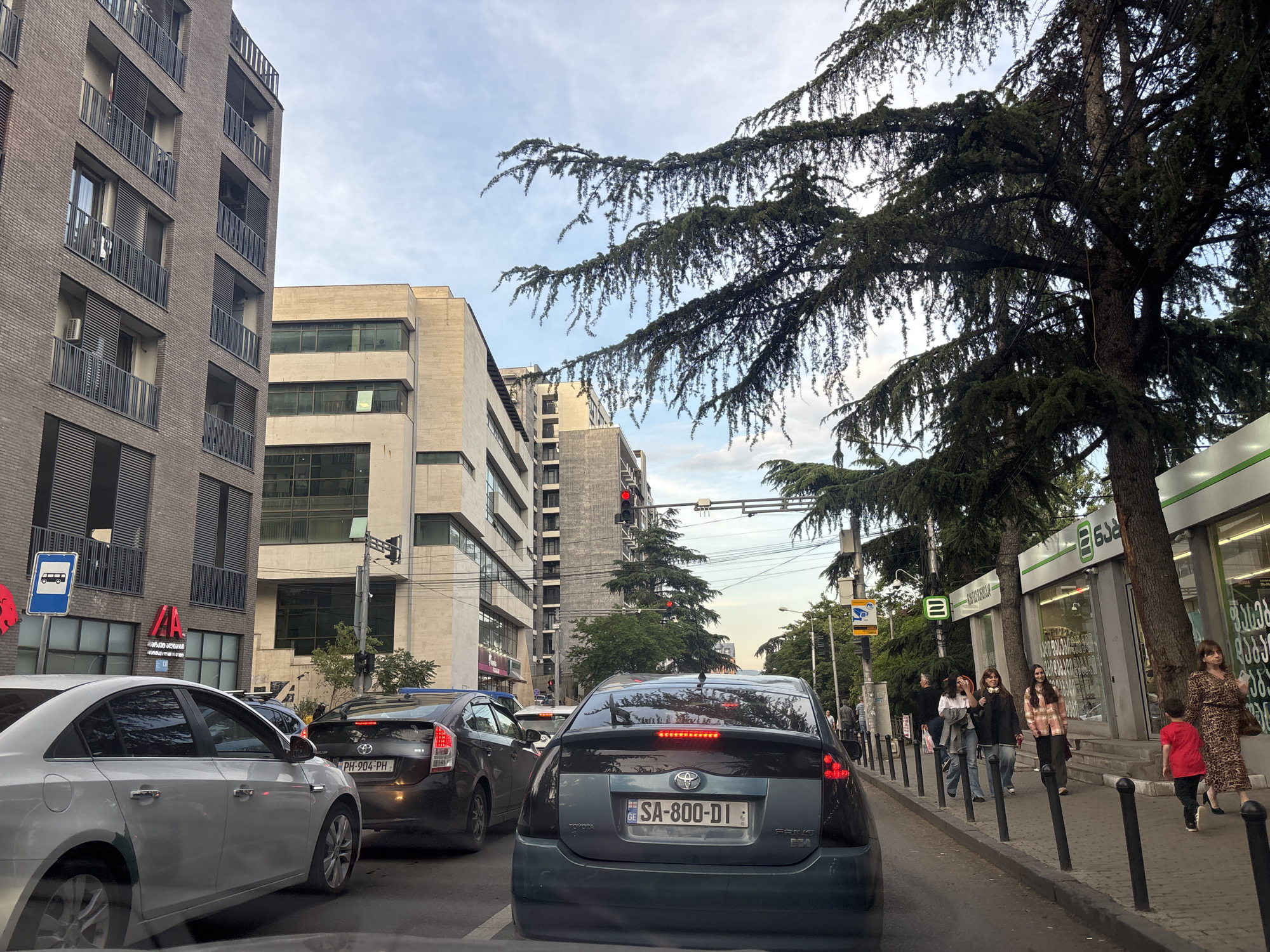 The image shows a street scene in Tbilisi, Georgia, with traffic and pedestrians. In the foreground, a dark gray Toyota Prius is stopped at a traffic light. Its license plate reads "SA-800-DI". To the left, a silver Chevrolet Cruze is also stopped. Further down the street, other cars are visible. On the sidewalk to the right, several people are walking, including a woman in a leopard-print dress, a child in a red shirt, and a group of young women. Buildings line both sides of the street, some with modern architectural features. A large tree with dense foliage overhangs the sidewalk. Traffic lights are visible, indicating an intersection. The sky is partly cloudy.