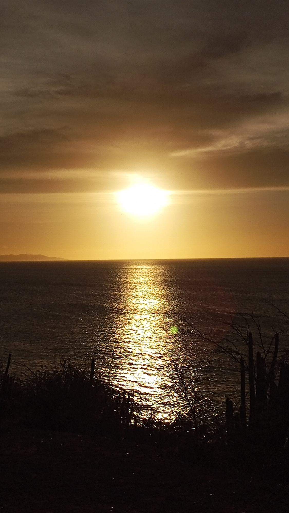 The image captures a sunset over the Caribbean Sea in Juan Griego, Venezuela. A brilliant sun dominates the horizon, casting a golden glow across the water and the sky. Silhouetted plants and cacti are visible in the foreground. In the distance, a faint landmass sits on the horizon. The sun's reflection creates a sparkling path on the water's surface. The sky above the sun is a mixture of yellow, orange, and grey, indicative of sunset conditions.