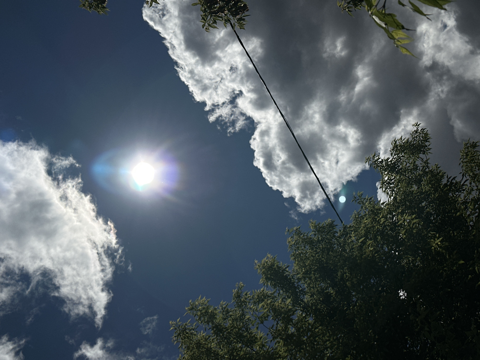 The image shows a view looking up at the sky. The sky is partially covered with white clouds against a blue background. The sun is visible, shining brightly and causing lens flare. Green tree foliage is present on the lower right and upper center of the image. A black power line diagonally crosses the clouds. The location is Kokshetau, Kazakhstan.