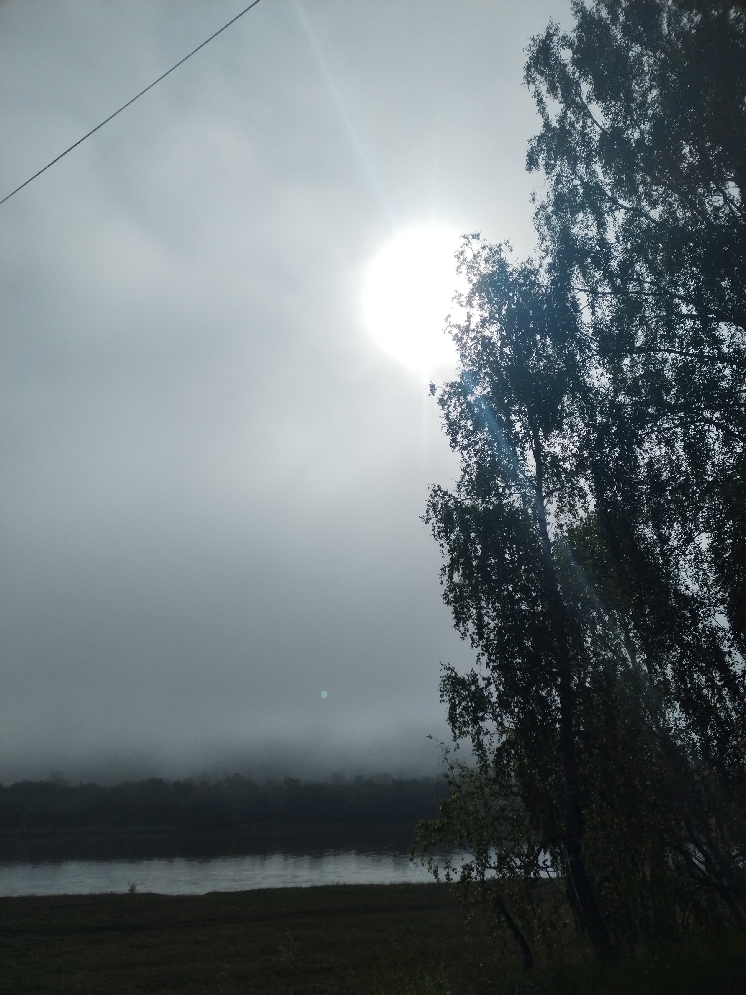 The image captures a misty, atmospheric scene by a river, likely in Lagerevo, Russia. A large, bright sun is partially obscured by fog and clouds, casting a diffused light. In the foreground, a silhouetted tree with dense foliage stands to the right, its branches reaching towards the sky. A thin, dark wire stretches diagonally across the upper left portion of the frame. The middle ground shows a calm river reflecting the muted sky, with a dark, treed shoreline in the distance shrouded in fog. The immediate foreground is a grassy field, appearing dark and out of focus. The overall impression is one of a tranquil, somewhat somber natural landscape.