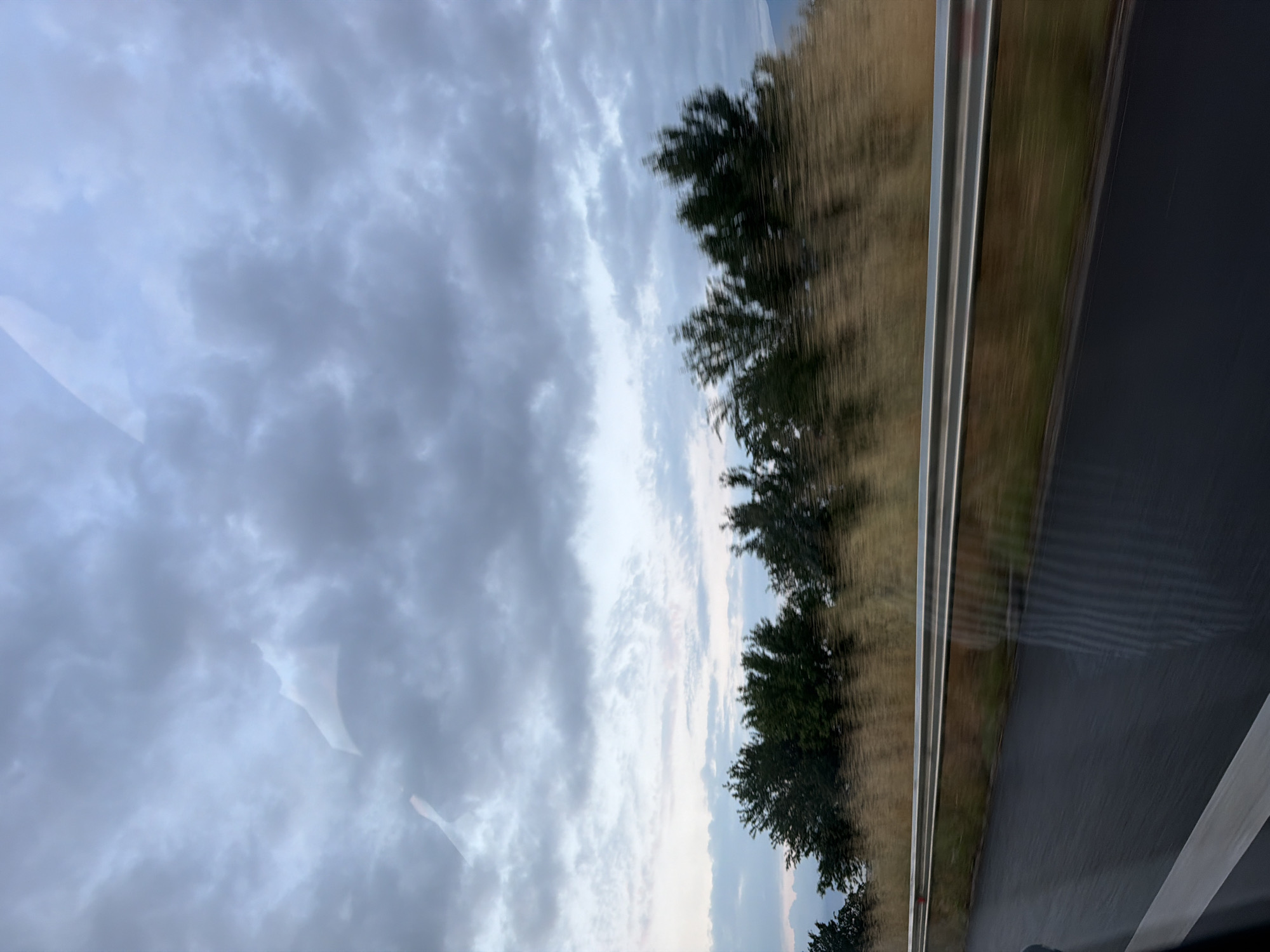 The image presents a dynamic landscape captured from inside a moving vehicle, likely in Radinovo, Bulgaria. The perspective is oriented as if looking out a side window, with elements stretched horizontally due to rotation (or vertically in the original file). When viewed in a typical landscape orientation (rotated 90 degrees counter-clockwise), the scene unfolds with a road in the foreground, leading towards a natural boundary and an expansive sky.
In the bottom section, a dark asphalt road occupies the foreground, featuring a distinct white solid line along its right edge. Immediately adjacent to the road, a silver metallic guardrail runs horizontally across the frame, acting as a barrier. Behind this guardrail, a brownish-yellow embankment, possibly covered in dry grass or earth, stretches into the mid-ground. A line of dark green trees with significant motion blur, suggesting high speed, grows along the top of this embankment.
The upper portion of the image is dominated by an overcast sky, filled with heavy, dark grey clouds. Towards the horizon, above the tree line, a lighter strip of sky is visible, indicating either dawn, dusk, or a break in the cloud cover. Reflections or distortions, likely from the vehicle's window, appear as light, curved shapes in the top-left area of the sky. The overall lighting suggests an overcast day or a period of low light. There is no visible text in the image.