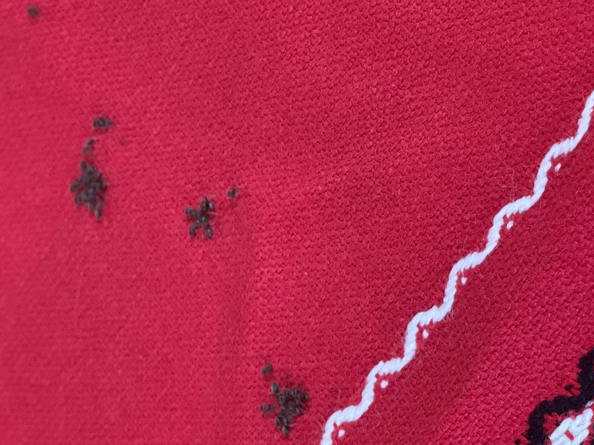 This media file is a close-up, horizontal shot of a red fabric with a textured weave. Dark, small, irregularly shaped specks, appearing almost like tiny clusters of dots, are scattered across the left and bottom portions of the fabric. These specks vary in density, with some appearing as single dots and others as small, tight groupings. In the upper right and extending towards the bottom right, a decorative element is visible. This element consists of a wavy, white line with small, white dots sprinkled along its edge, suggesting a patterned border or trim. The fabric appears to be a garment or home textile. No people, specific objects, or setting details are discernible beyond the fabric itself. There is no visible text. The lighting is neutral, and no environmental cues like time of day or weather are apparent. The image focuses solely on the texture and pattern of the material.