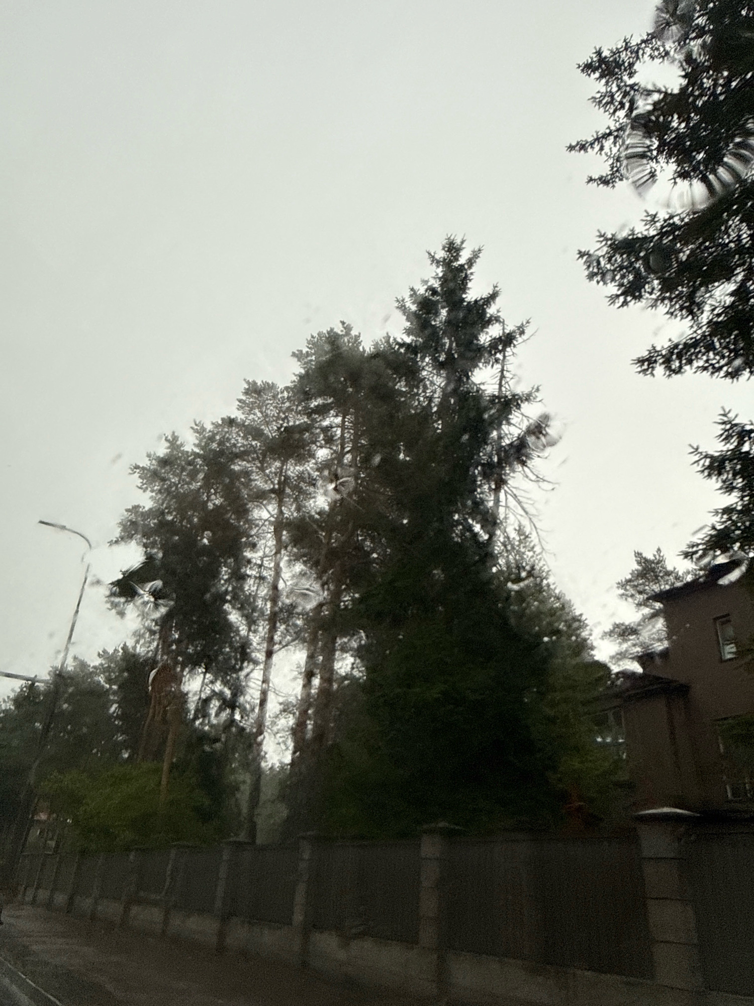 The image depicts a view looking upwards through a window with raindrops on it, offering a glimpse of an outdoor scene. The primary subjects are tall evergreen trees, silhouetted against an overcast sky. The trees appear to be a mix of pine and spruce, with dense foliage. In the middle ground, a long, dark fence with stone pillars runs horizontally across the frame, separating the foreground from a building visible on the right. The building is a multi-story structure with a dark, textured facade and visible windows. A streetlamp is also present on the left side of the image.
The weather appears to be rainy or recently rained, indicated by the water droplets on the window through which the photo was taken and the damp appearance of the fence and implied ground. The sky is uniformly grey, suggesting an overcast day, possibly in the morning or late afternoon. The overall mood is somber and perhaps a bit melancholic due to the weather and the muted colors.
There is no discernible activity or event taking place; it appears to be a static view of a residential or suburban area. No people are visible in the frame. No text is present in the image. The context provided suggests the location is Tallinn, Estonia.