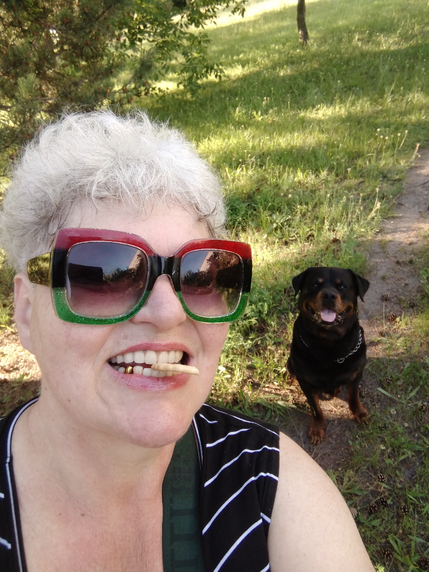 A daytime outdoor photograph taken in Horishni Plavni, Ukraine, depicts an older adult female in the foreground with a Rottweiler dog in the mid-ground. The female, possessing short, curly, grey hair, is smiling broadly into the camera, exposing white dental prosthetics on her upper jaw and visible lower teeth. A gold-colored dental cap is present on one of her lower left incisors (viewer's right). She holds a thin, light-colored, rectangular object horizontally between her front teeth. She wears large, square-framed sunglasses with a multi-colored frame (red, black, and glittery green segments) and dark, reflective lenses. Her attire includes a black and white striped top, with a dark green strap visible on her right shoulder. The black and tan Rottweiler sits upright on the grassy ground behind and to the right of the woman, facing the camera with its mouth open and tongue slightly extended. It wears a metal chain collar. The environment consists of green grass, scattered pine cones, and a dirt path visible on the right. Various trees, including a pine tree, are present in the background under natural daylight.