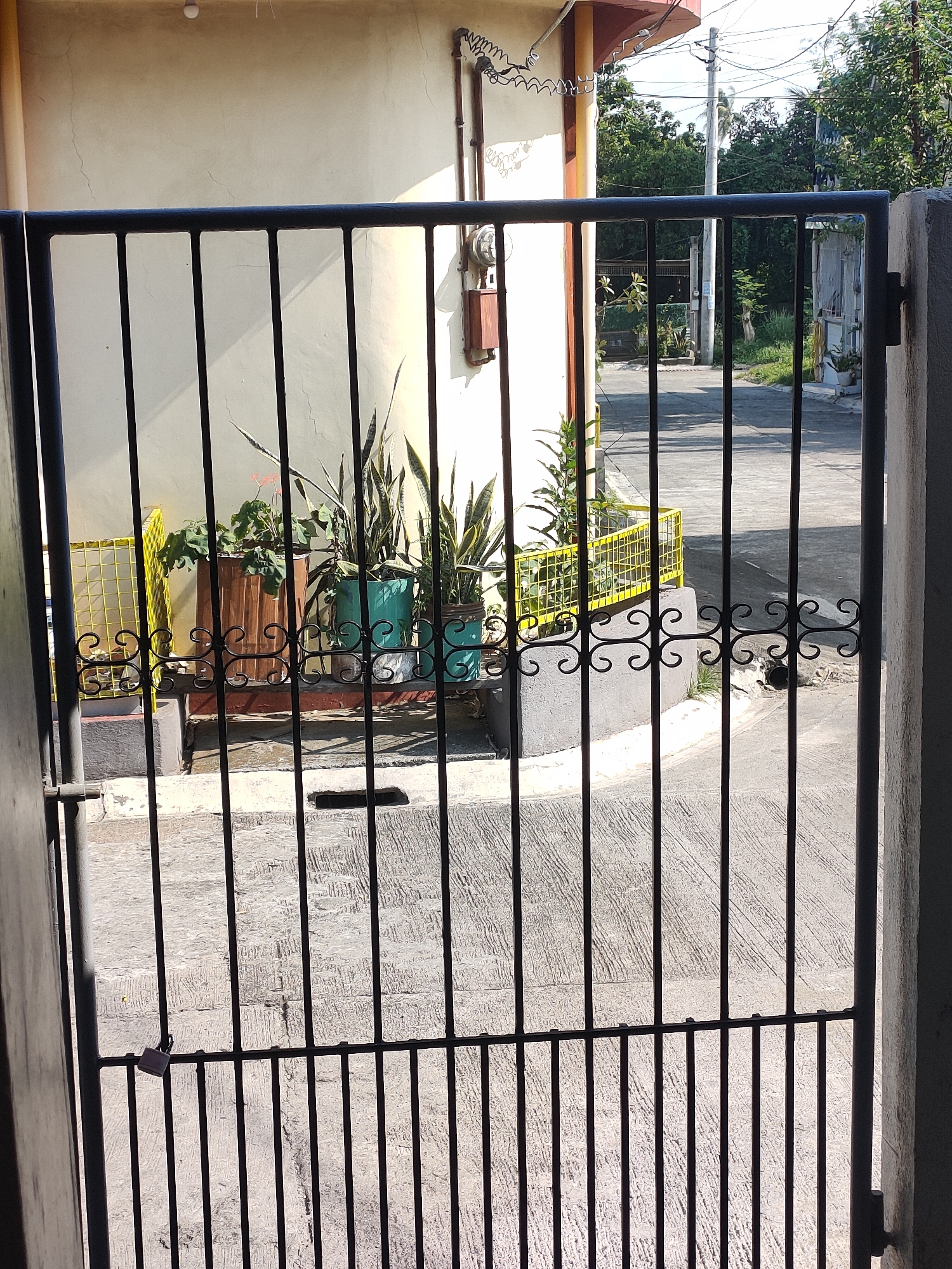 The image shows a view through a black metal gate. The gate has vertical bars and decorative scrollwork at the bottom. On the other side of the gate, there is a concrete pathway and a building wall. Several potted plants are visible, including snake plants and a plant with broad green leaves in a wooden planter. A yellow metal cage is also present. Beyond the immediate area, a street with more buildings and trees can be seen under a bright sky. The location is identified as San Pascual, Philippines.