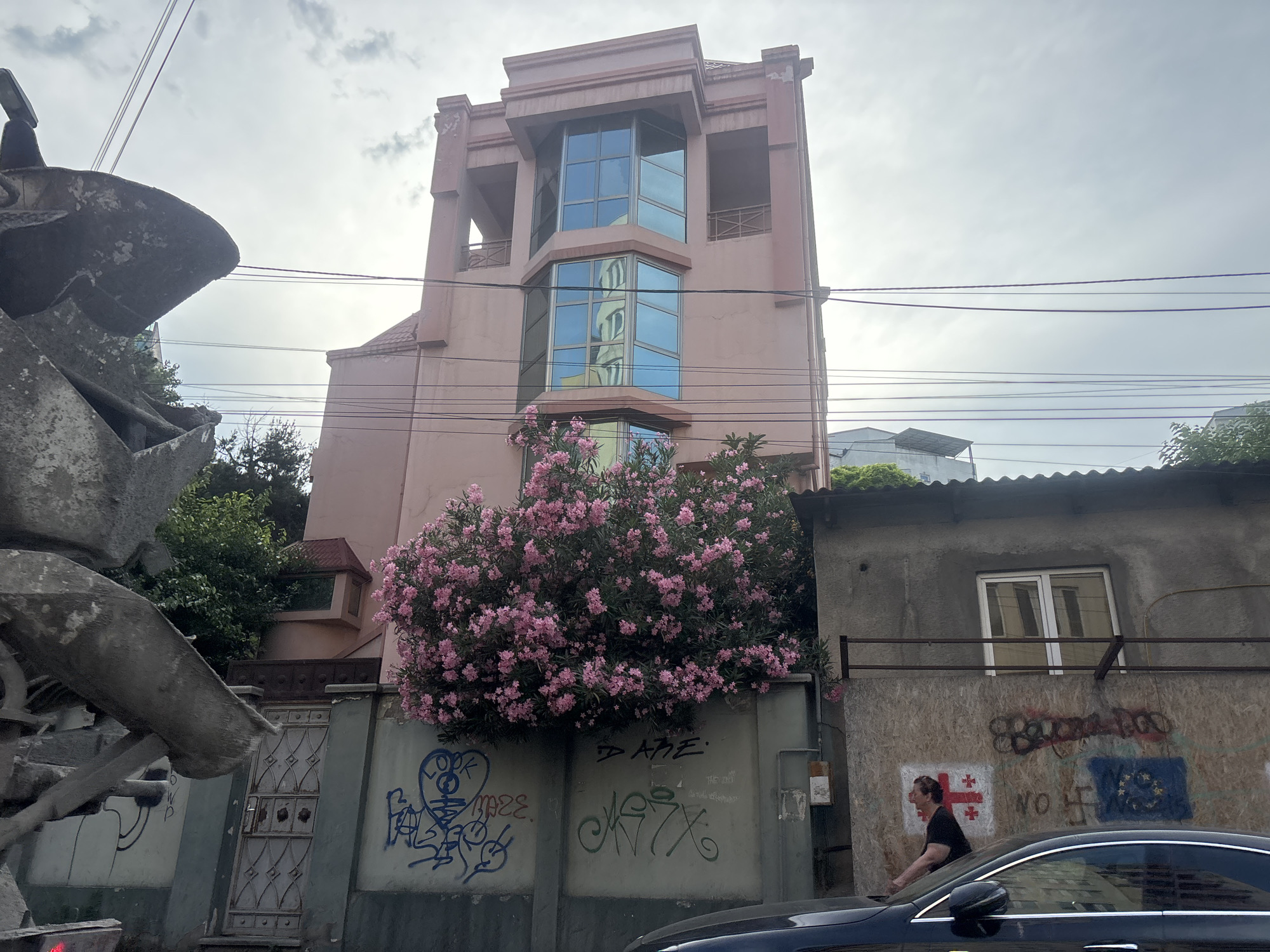 A view of a street scene in Tbilisi, Georgia, with a focus on a pink building and its surroundings. In the foreground on the left, a large concrete mixer is partially visible. A dark-colored car is driving by in the bottom right. A woman wearing a dark shirt is walking in front of a low building on the right, which is covered in graffiti. The graffiti includes the Georgian flag, an EU flag, and the words "NO" and a swastika.
The main subject is a multi-story pink building with prominent glass windows. In front of the pink building and between it and the lower building on the right, a large bush with abundant pink flowers is in bloom, creating a vibrant contrast with the urban landscape. The sky is overcast, suggesting a cloudy day. The scene appears to be outdoors in an urban environment. The presence of graffiti and the general state of the lower building suggest a gritty, lived-in urban setting. The reflection in the windows of the pink building shows architectural elements that are not clearly identifiable in the scene. The time of day is not explicitly indicated but the lighting suggests daytime.