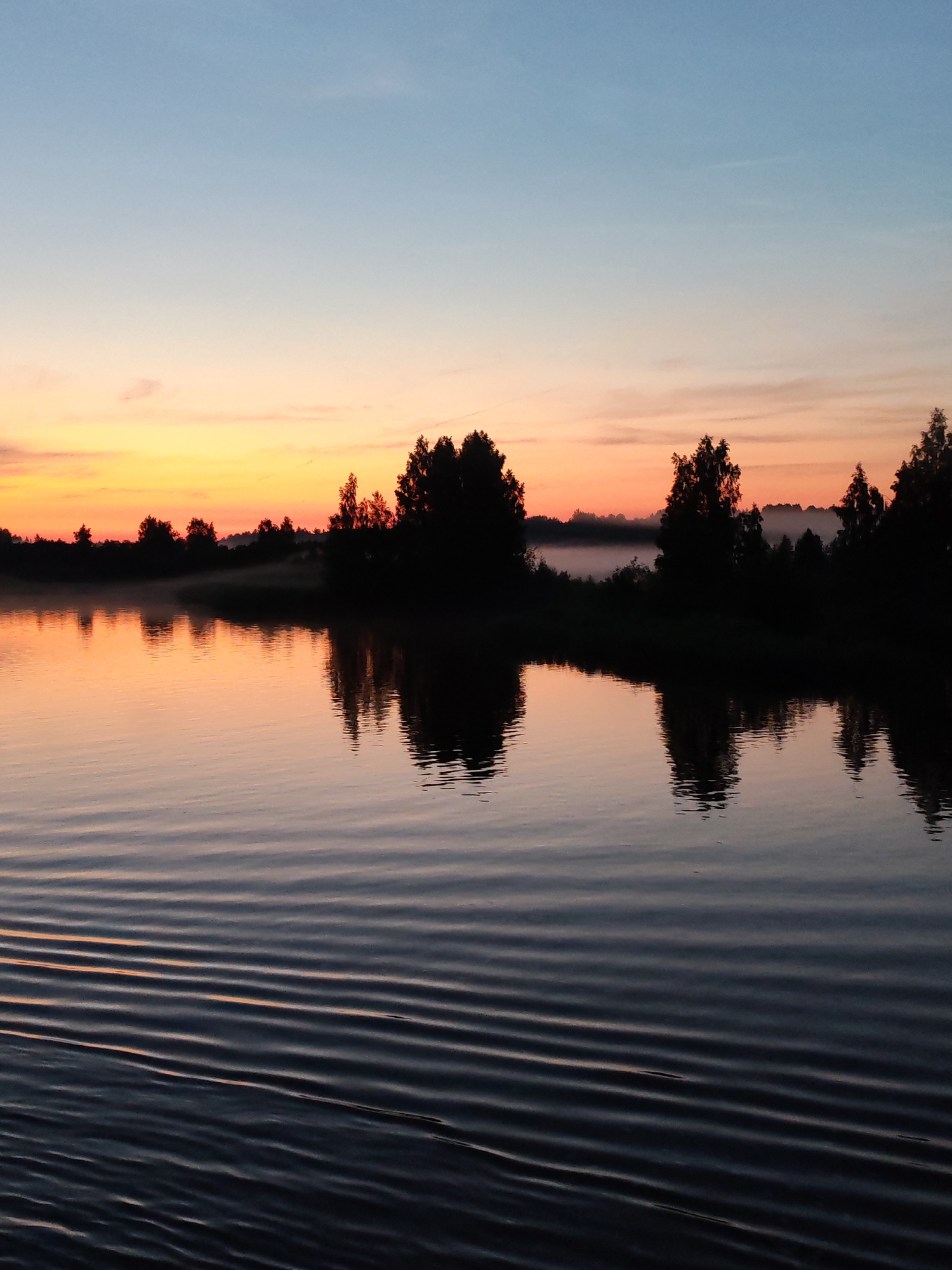 The image depicts a serene natural landscape at dawn or dusk. The sky transitions from a pale blue at the top to vibrant hues of orange and yellow near the horizon, indicative of a sunrise or sunset. A line of dark silhouettes of trees and foliage forms the distant shoreline. Mist or fog is visible hovering just above the water's surface along the treeline, obscuring the lower portion of the vegetation.
The foreground is dominated by a body of water, likely a river or lake, reflecting the colors of the sky and the silhouettes of the trees. The water's surface is disturbed by ripples, creating a textured effect. The reflections of the trees and the sky are clear and distinct on the calm water. The overall impression is one of tranquility and natural beauty.
The location is identified as Vytegra, Russia. While the image itself does not contain specific landmarks to pinpoint a precise spot within Vytegra, it captures a typical natural setting that might be found in the region, characterized by its waterways and tree-covered shores. There are no people, animals, or man-made structures visible in the scene, making it purely a depiction of nature.