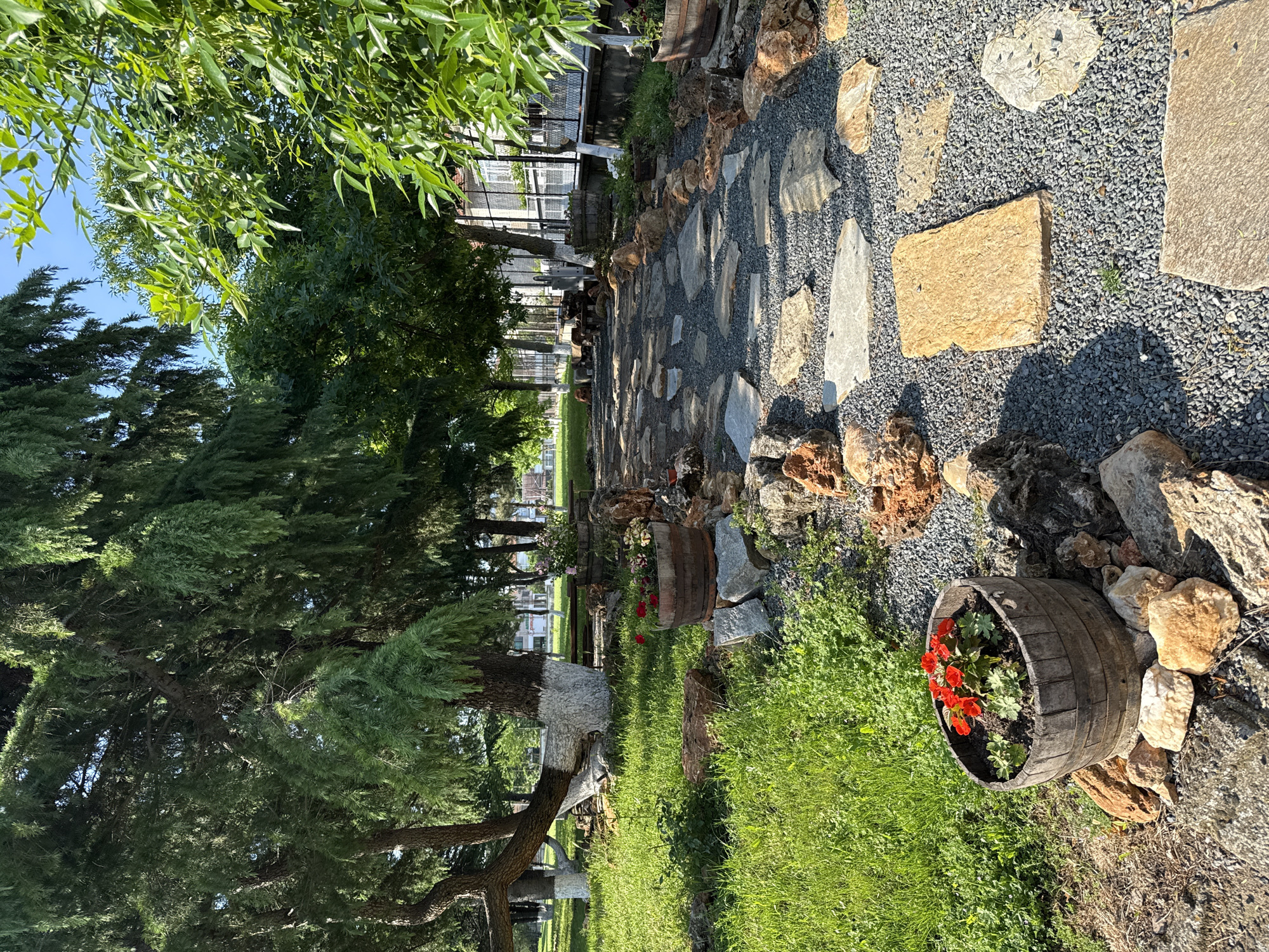 The image depicts a garden path in Elhovo, Bulgaria. The path is constructed of irregularly shaped stones and gravel, bordered by larger rocks and greenery. A wooden barrel planter containing red flowers sits on the right side of the path. Trees and other vegetation line the left side of the path, leading to a house or building in the background. The scene is bathed in sunlight.
