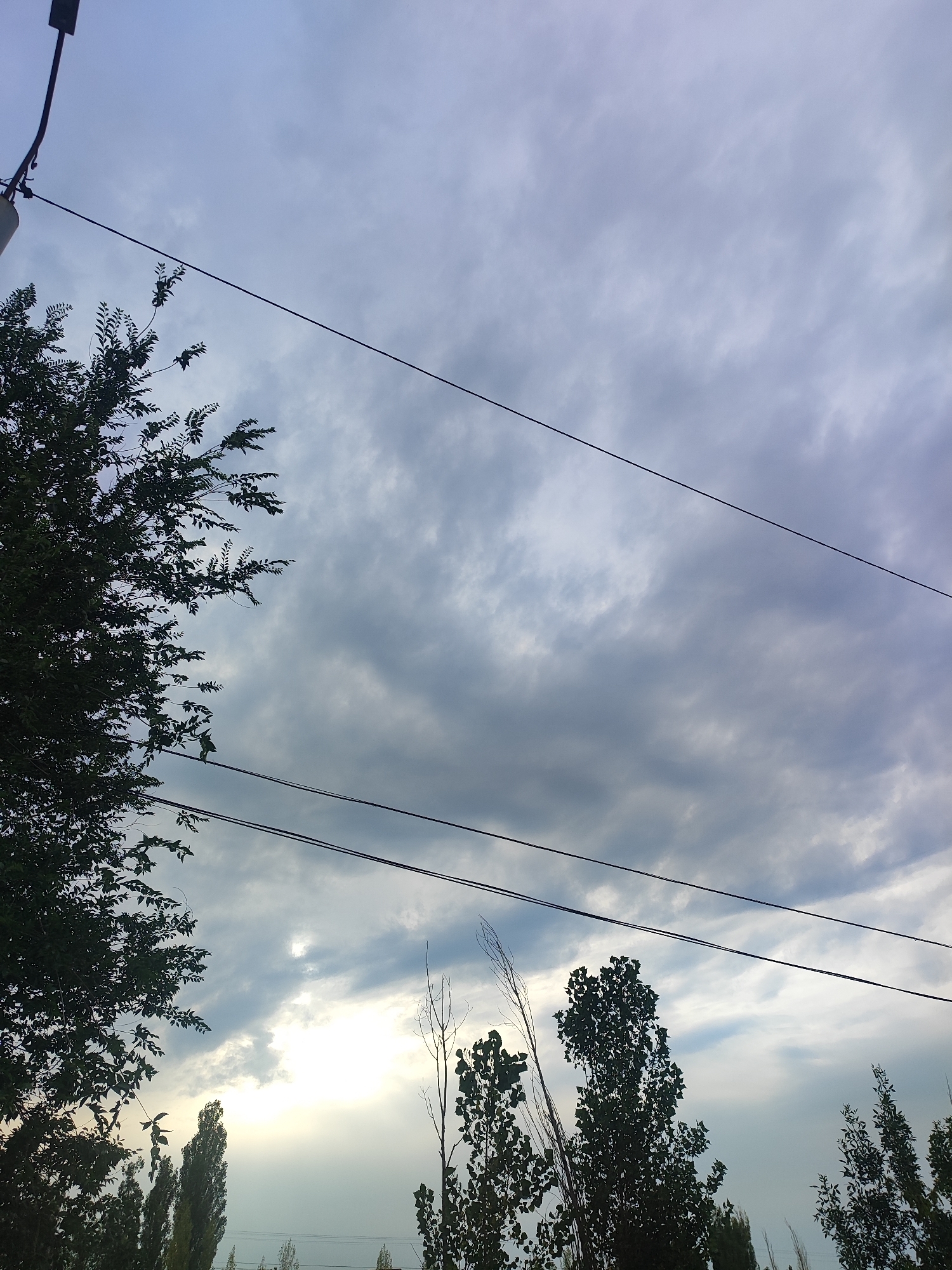 A wide-angle, low-angle shot captures a cloudy sky with visible power lines stretching across the frame. Silhouetted trees frame the bottom and left edges of the image. In the background, a bright, hazy sun is visible through gaps in the clouds. The scene appears to be an outdoor environment, possibly a park or a residential area. The overall impression is a serene, overcast day in Bishkek, Kyrgyzstan, with a mix of natural and man-made elements.