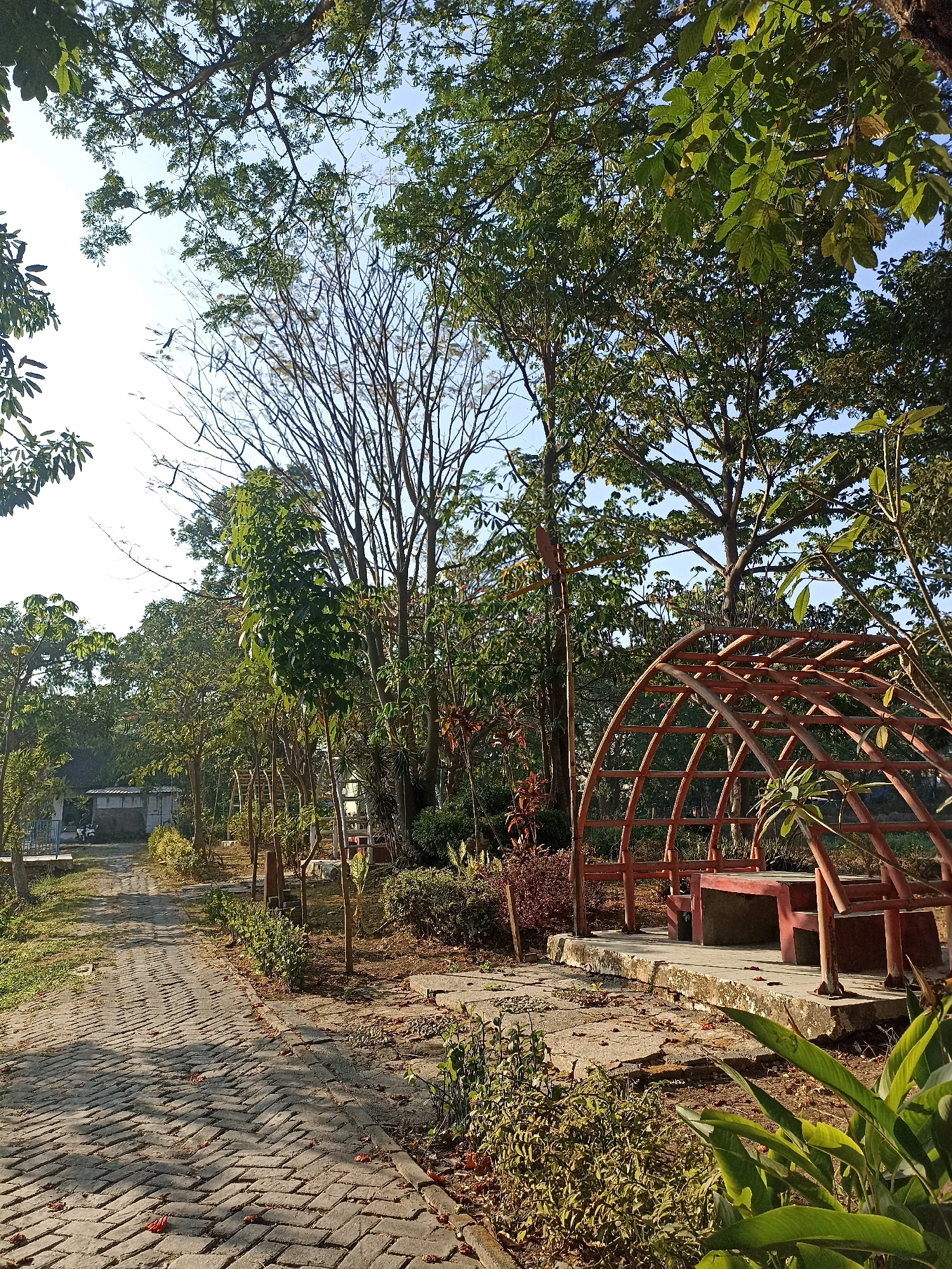 This photograph, taken in the city of Lamongan, Indonesia, captures a sunlit park scene. A paved walkway, constructed from interlocking grey bricks laid in a herringbone pattern, winds from the foreground into the middle ground of the image. Scattered fallen leaves are visible on the walkway. To the right of the path, a rusted, arch-shaped garden structure with a bench inside sits on a concrete platform. Beyond this structure, dense foliage and trees with a mix of green leaves and bare branches create a natural backdrop, with the sky visible through the canopy. In the distance, a white building with a blue railing and a motorcycle are partially visible. The overall environment suggests an outdoor recreational area with mature trees and an arid undergrowth.