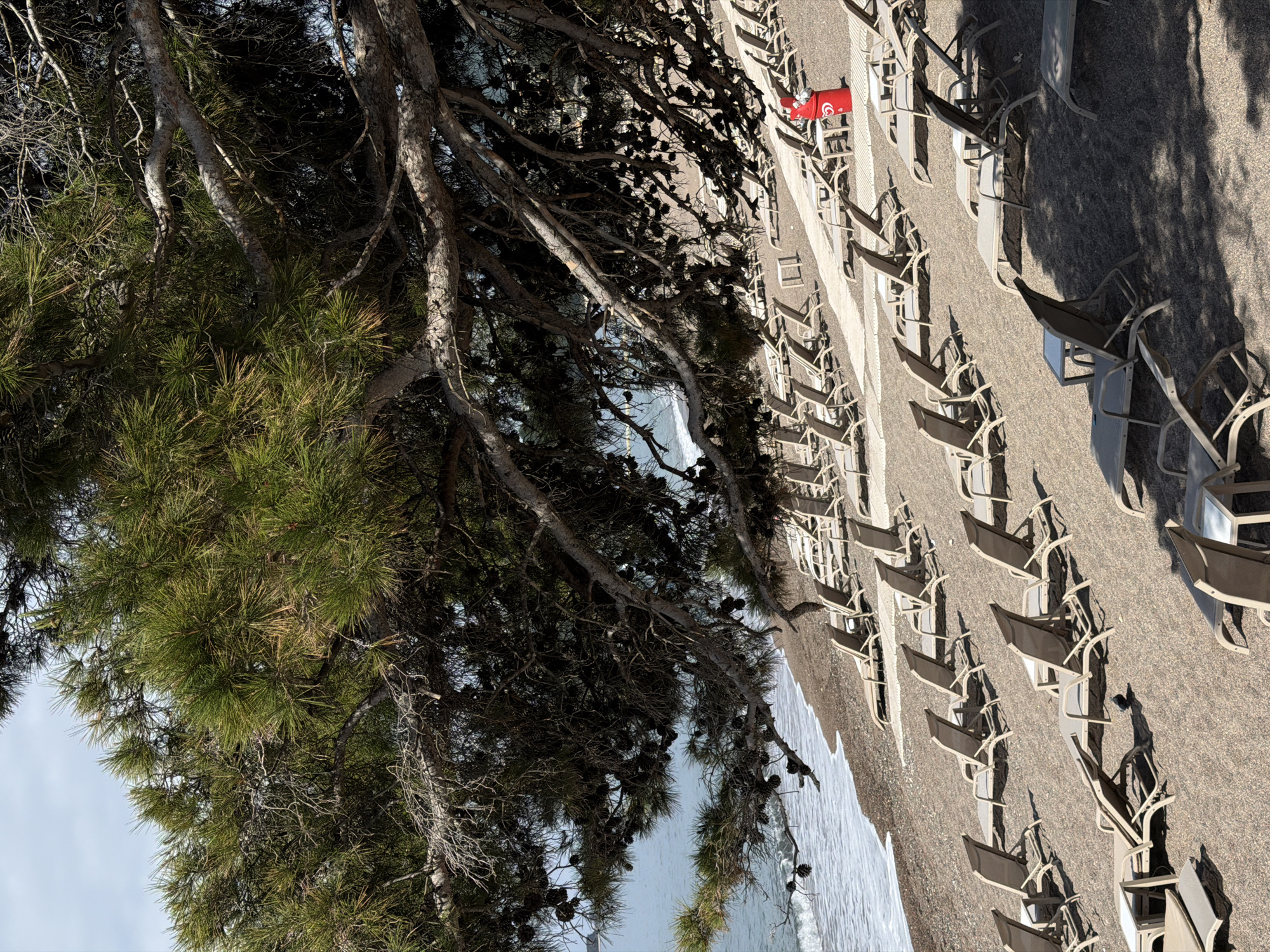 A landscape shot taken in Rafailovići, Montenegro, shows a tree with green and brown foliage on the left side of the frame. To the right, rows of empty beach chairs with brown seats are aligned on a beach. A red lifeguard post is visible among the beach chairs. The sea is located between the beach and the tree.