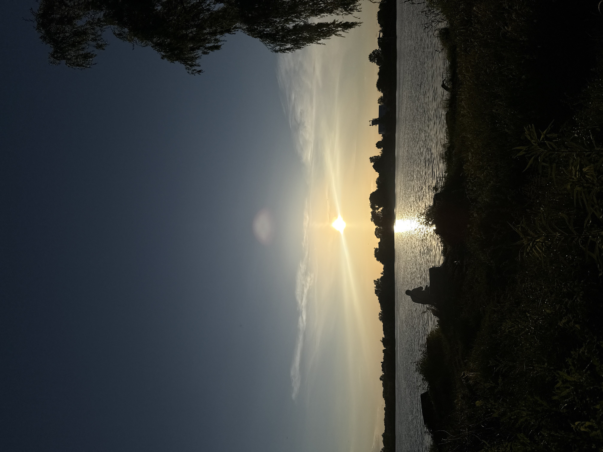 A silhouette of a person sits on the shore of a body of water at dusk. The sun is low in the sky, casting a warm glow and creating a shimmering reflection on the water. The shoreline is lined with dark vegetation, with a large tree branch hanging into the frame from the upper right. In the distance, the silhouettes of trees and buildings are visible against the horizon. The sky is a gradient of deep blue to a lighter hue near the sun.