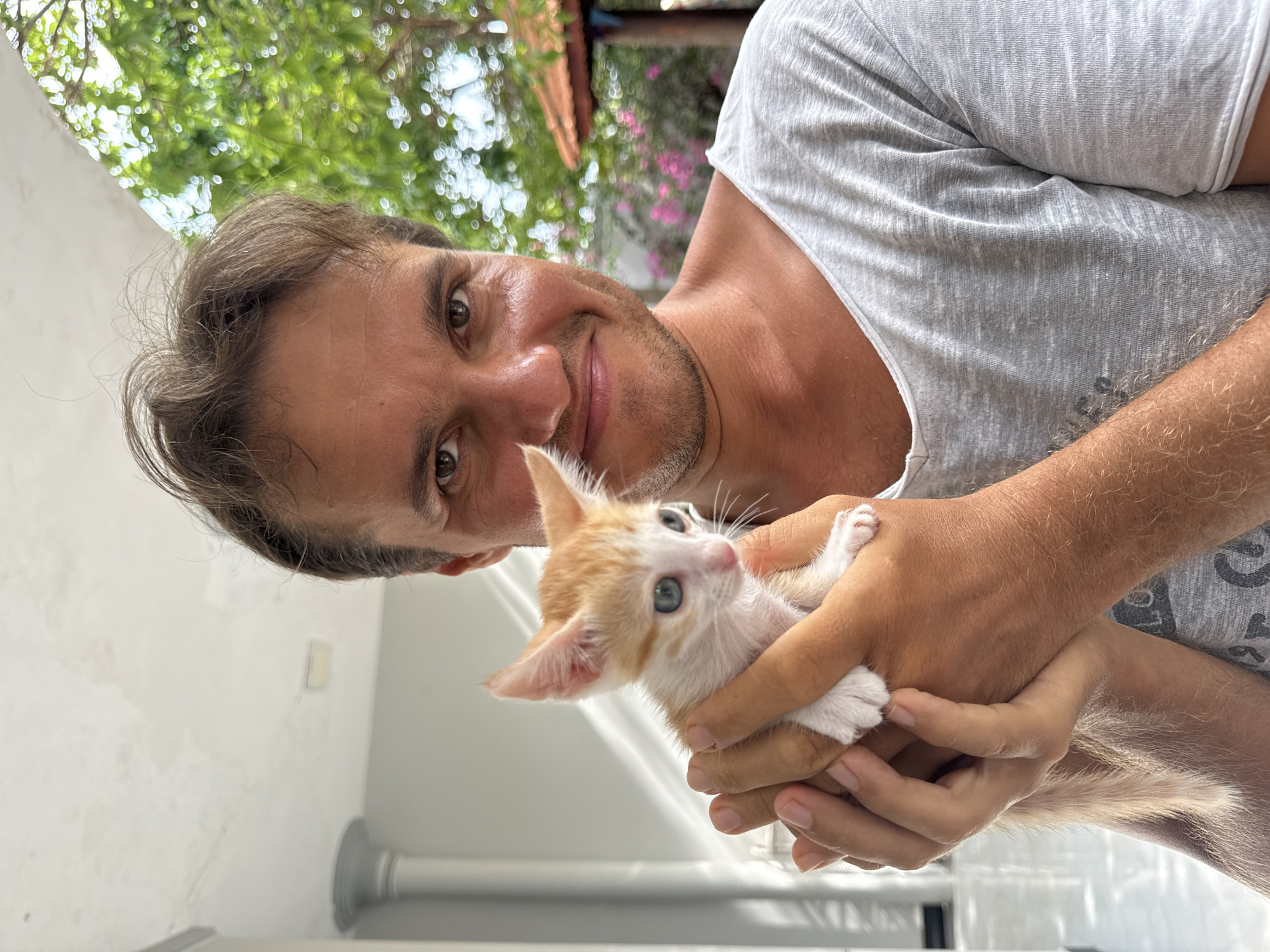 A man with light brown hair and stubble is holding an orange tabby kitten with white markings in his hands. The man is wearing a grey t-shirt. He is looking at the camera with a slight smile. The kitten is looking upwards and has blue eyes. The background includes greenery, a building, and what appears to be pink flowers. The location is likely Mũi Né, Vietnam.