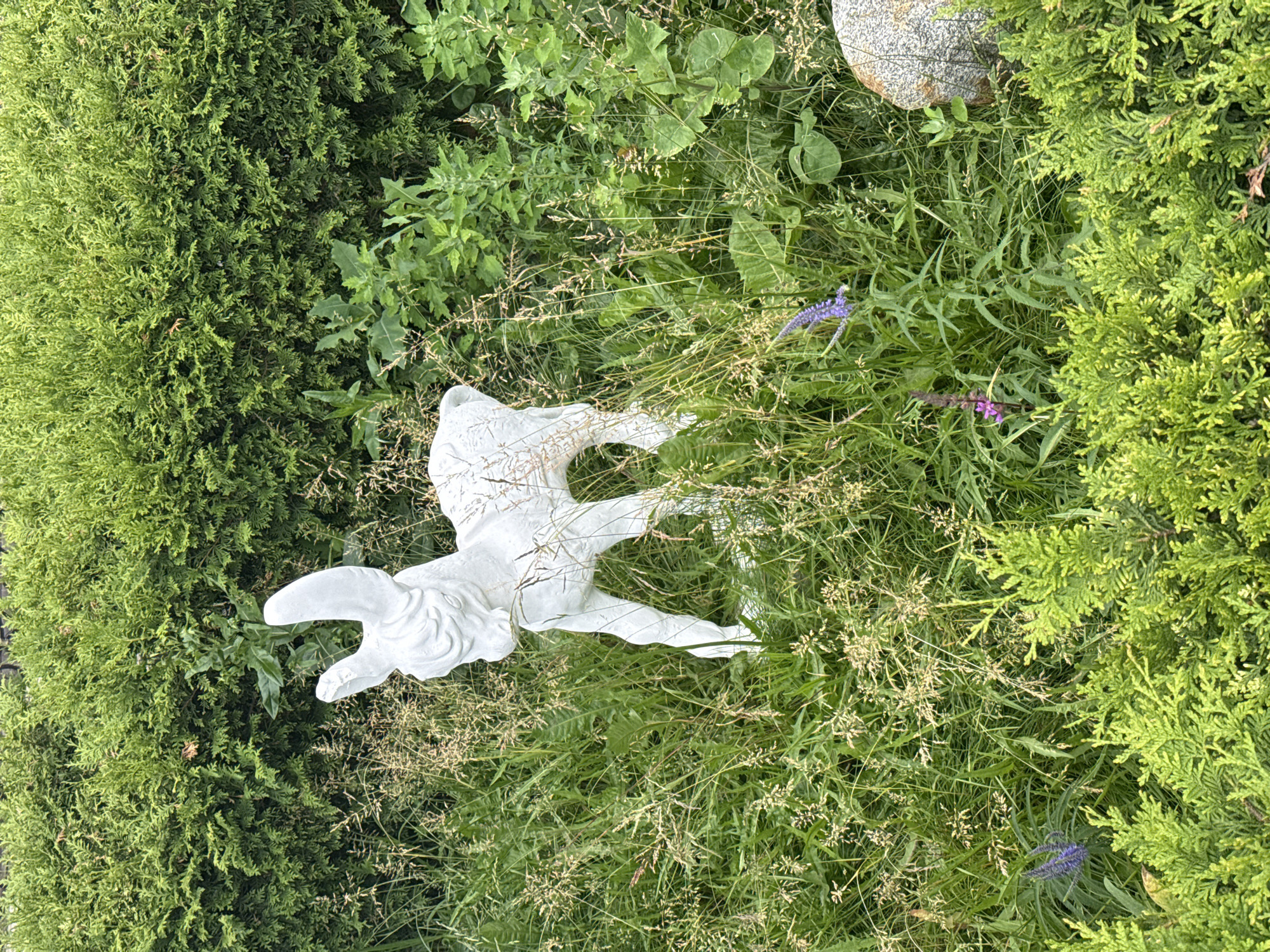 A white ceramic statue of a fawn stands in overgrown grass in front of a thick green hedge. The fawn is facing left with its head slightly raised. Two purple flowers are visible in the grass to the right of the fawn. A large grey rock is also present in the grass to the far right. The scene appears to be a garden or yard. There is no information to determine the location in the city of Moscow, Russia.