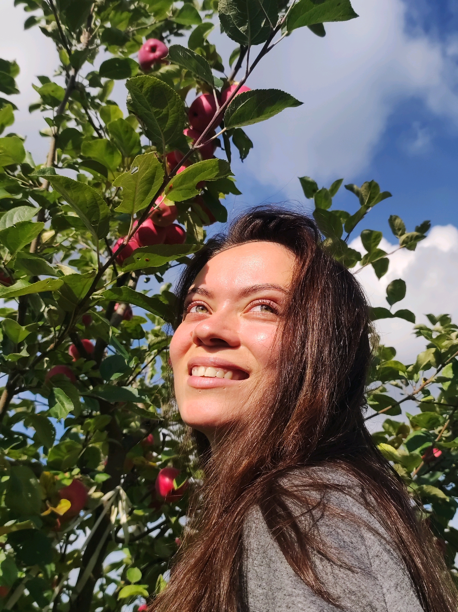 In a sun-drenched outdoor scene, a young woman with long, brown hair is captured from the chest up, looking upwards and to her left. She is smiling, with her mouth slightly open, revealing her teeth. Her eyes are open and her gaze is directed towards the sky. She is wearing a grey top. Behind her, an apple tree is laden with ripe, red apples and lush green leaves. The background consists of a clear blue sky with scattered white clouds. The setting appears to be a rural area, possibly an orchard.