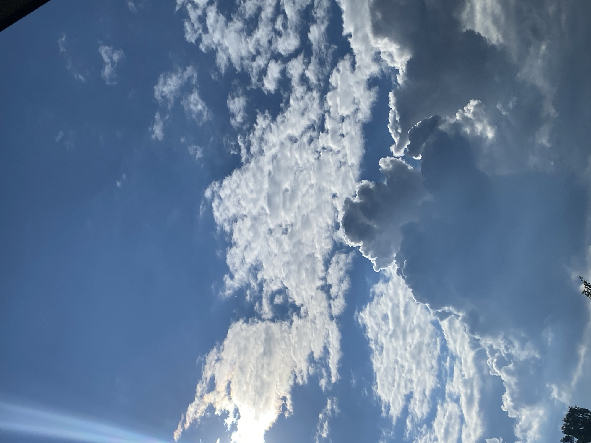 The image captures a vibrant, partly cloudy sky over Chaikovsky, Russia, viewed from below. The primary subjects are the expansive blue sky and a dynamic array of clouds.
The sky exhibits a deep, clear blue in areas, particularly towards the left and upper sections of the frame. Scattered across the sky are various cloud formations. On the left and central parts, there are numerous fluffy, white cumulus clouds, brightly lit by the sun. Towards the right side of the image, the clouds become denser and more layered, transitioning from bright white edges, where they are illuminated by sunlight, to darker, steel-grey interiors, suggesting greater thickness and depth.
The sun itself is not directly visible but its presence is strongly indicated by a bright lens flare emanating from the bottom left corner of the image. This strong sunlight creates brilliant white highlights and sharp edges on the clouds, making them appear almost three-dimensional. Some of the sun-lit clouds also exhibit subtle iridescent patterns, particularly near the bottom left, where light refracts through cloud particles.
A small fragment of dark foliage, likely from a tree, is visible in the bottom right corner, partially obscured by the frame's edge. The scene depicts a bright daytime setting, likely late morning or afternoon, given the intensity and angle of the sunlight. The weather appears to be partly cloudy with clear patches. There are no people, man-made objects (aside from the implied camera), or visible text in the image. The overall impression is one of natural beauty and the vastness of the sky.