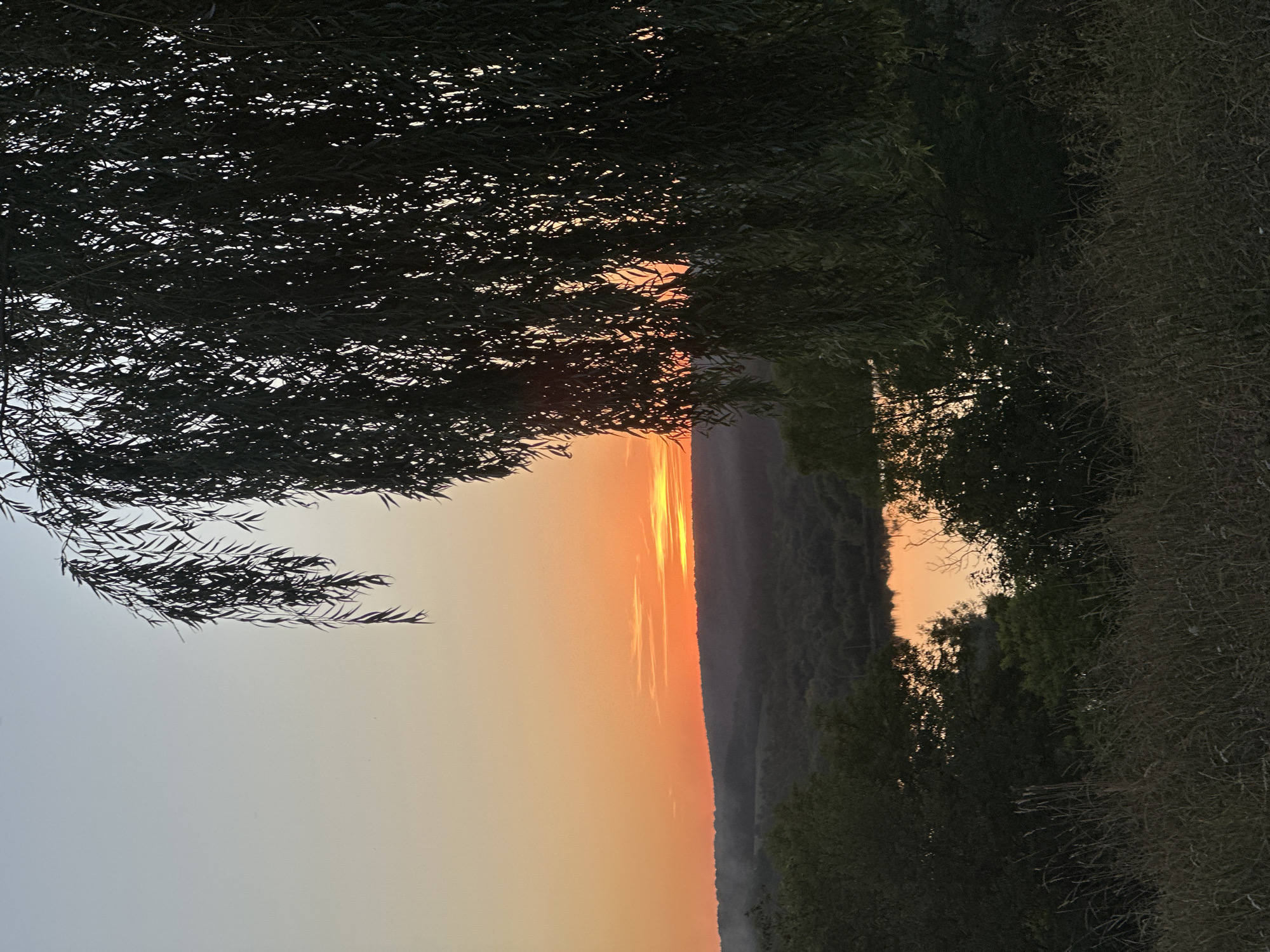A serene sunset unfolds over the Ukrainian countryside near Makiv, as viewed from an elevated position. In the foreground, dry grasses and weeds carpet the ground, giving way to a dense foliage of trees and bushes. Dominating the right side of the frame is a large weeping willow tree, its long, drooping branches creating a natural curtain that partially obscures the scene beyond.
Beyond the immediate vegetation, a tranquil lake or river reflects the warm hues of the sunset. The water is calm, mirroring the gradient of colors in the sky. In the middle ground, rolling hills are covered in a dense forest, their contours softened by the fading light.
The sky transitions from a pale, almost translucent blue at the top to a vibrant orange and yellow band near the horizon, indicative of a sunset. A thin line of clouds is visible just above the distant hills, catching the last rays of sunlight. The overall impression is one of peace and natural beauty, captured in the soft light of twilight. There are no people or animals visible in the image.