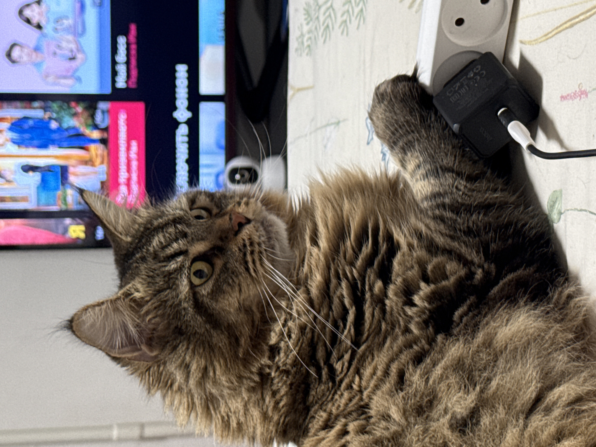 A fluffy, long-haired tabby cat is the main subject, positioned in the foreground. The cat is facing right, with its head tilted slightly upwards and to the side, revealing its alert yellow eye. Its paw rests on a white power strip that is plugged into a black charging adapter. The charging adapter is connected to a black cable. The background is out of focus and appears to be a television screen displaying various images and text, possibly indicating a home environment. The scene suggests a domestic setting, likely within a residence.