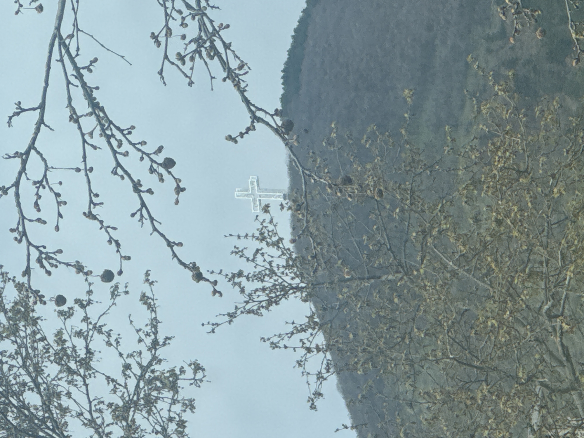 A partially obscured view of a large white cross, presumably Christian, located atop a mountain in Sliven, Bulgaria. The cross is the focal point, framed by bare branches in the foreground and the slope of the mountain in the background. The sky appears overcast and the overall color palette is muted. The branches in the foreground are sparse, indicating the season is likely late winter or early spring. The mountain's vegetation is visible, suggesting a forested area. The image seems to have been taken through a window or possibly from inside a moving vehicle, as evidenced by the framing and slightly blurred quality.