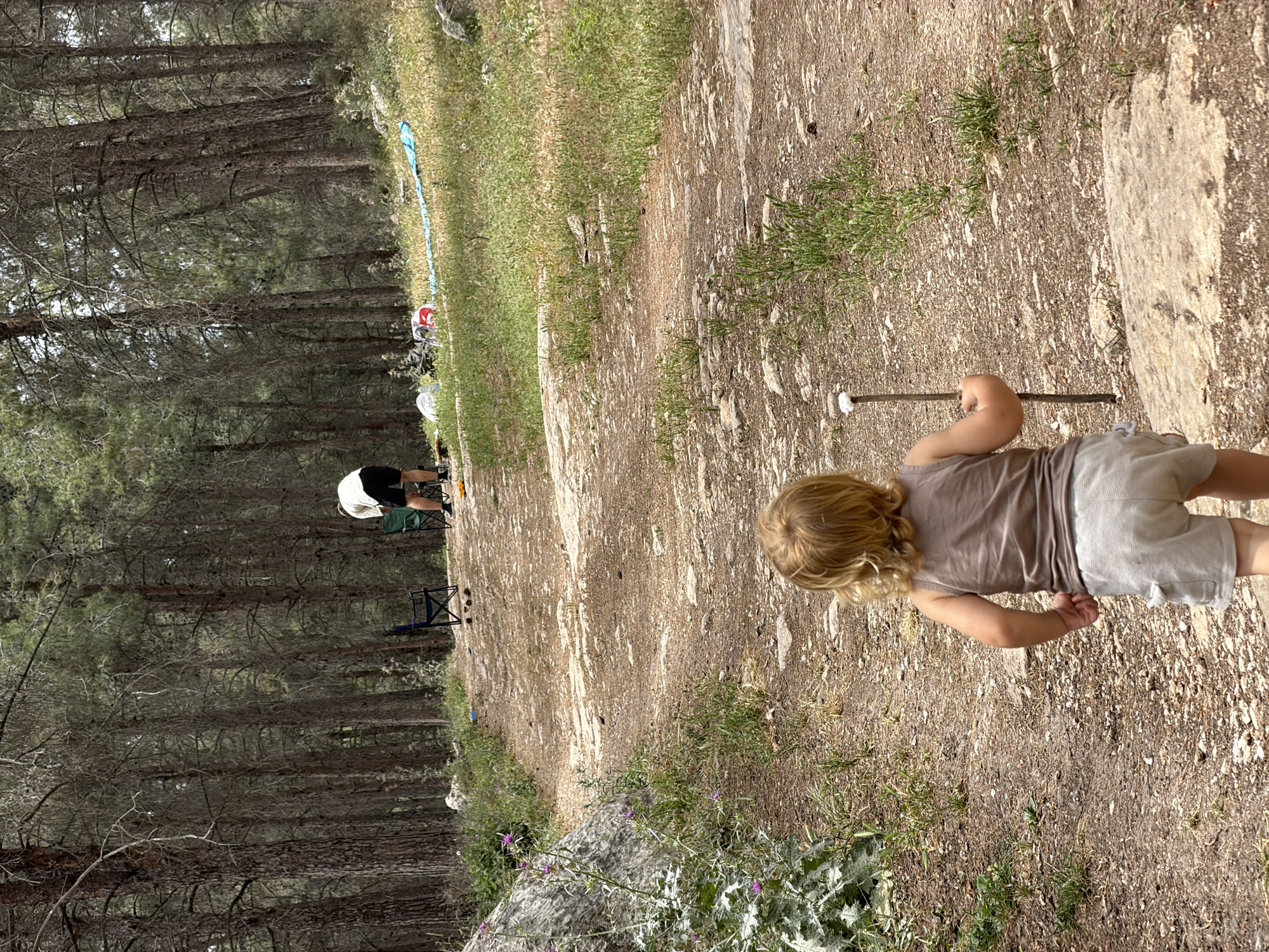 The image shows a child standing on a dirt path in Jezreel Valley Regional Council, Israel, with a stick in their hand. In the background, a person is sitting on a chair near a forest. The surrounding environment includes trees and vegetation.