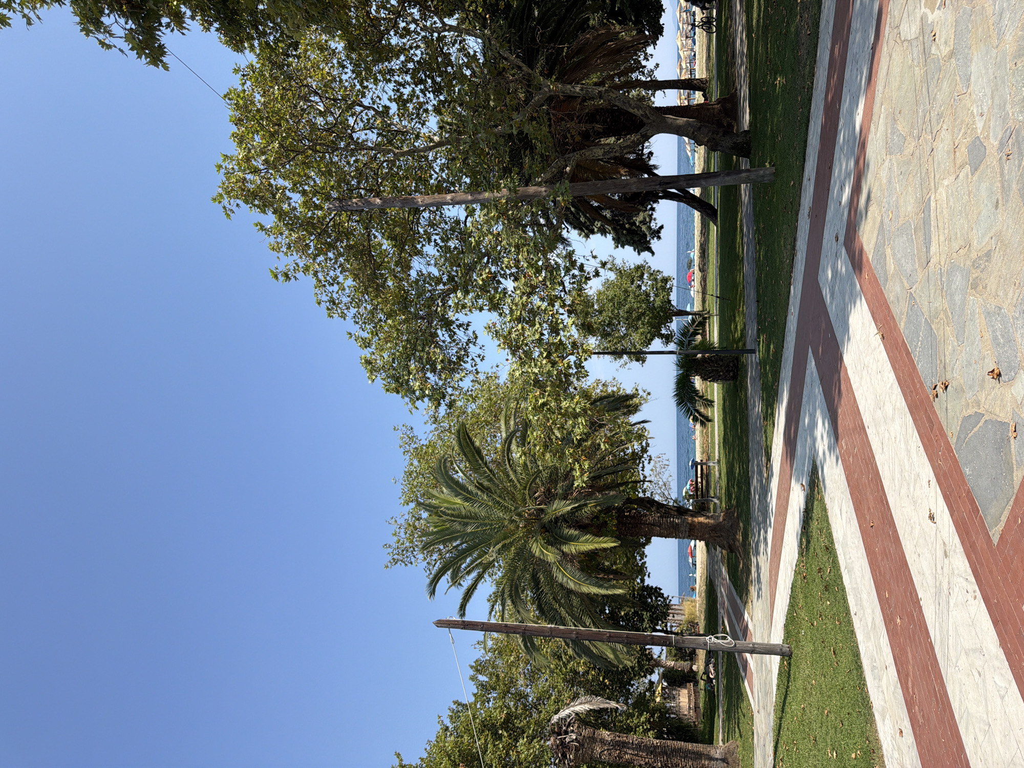 The image depicts a sunny day with a clear blue sky over Asprovalta, Greece. In the foreground, a pathway is laid with light-colored stone tiles and decorative red brick strips. Adjacent to the pathway is a patch of green grass. Beyond the grass, a park-like area is visible, featuring several large trees, including a prominent palm tree with lush green fronds. In the background, a sandy beach stretches along the coastline, with the calm blue sea meeting the horizon. Beach umbrellas and loungers are scattered across the sand, suggesting a leisurely atmosphere. A few individuals are present on the beach, and a bicycle is parked near the edge of the park. A utility pole stands near the palm tree, with a rope tied to it. The overall scene is one of a tranquil coastal town on a bright summer day.