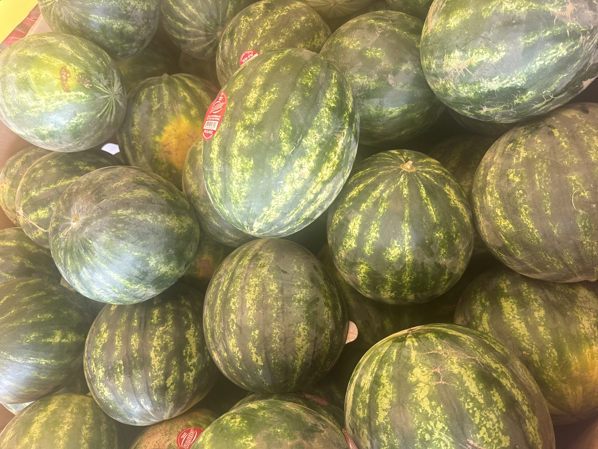 A close-up, overhead shot shows a large quantity of watermelons piled in a cardboard box. The watermelons are round to oval in shape, with dark green rinds marked by lighter green stripes and mottled yellow patches. Some watermelons have red stickers with white text. The lighting is bright, casting a slight yellow tint on some of the melons. The image appears to be taken in Calgary, Canada, likely at a farmers market or grocery store. There are no people or animals visible in the frame.