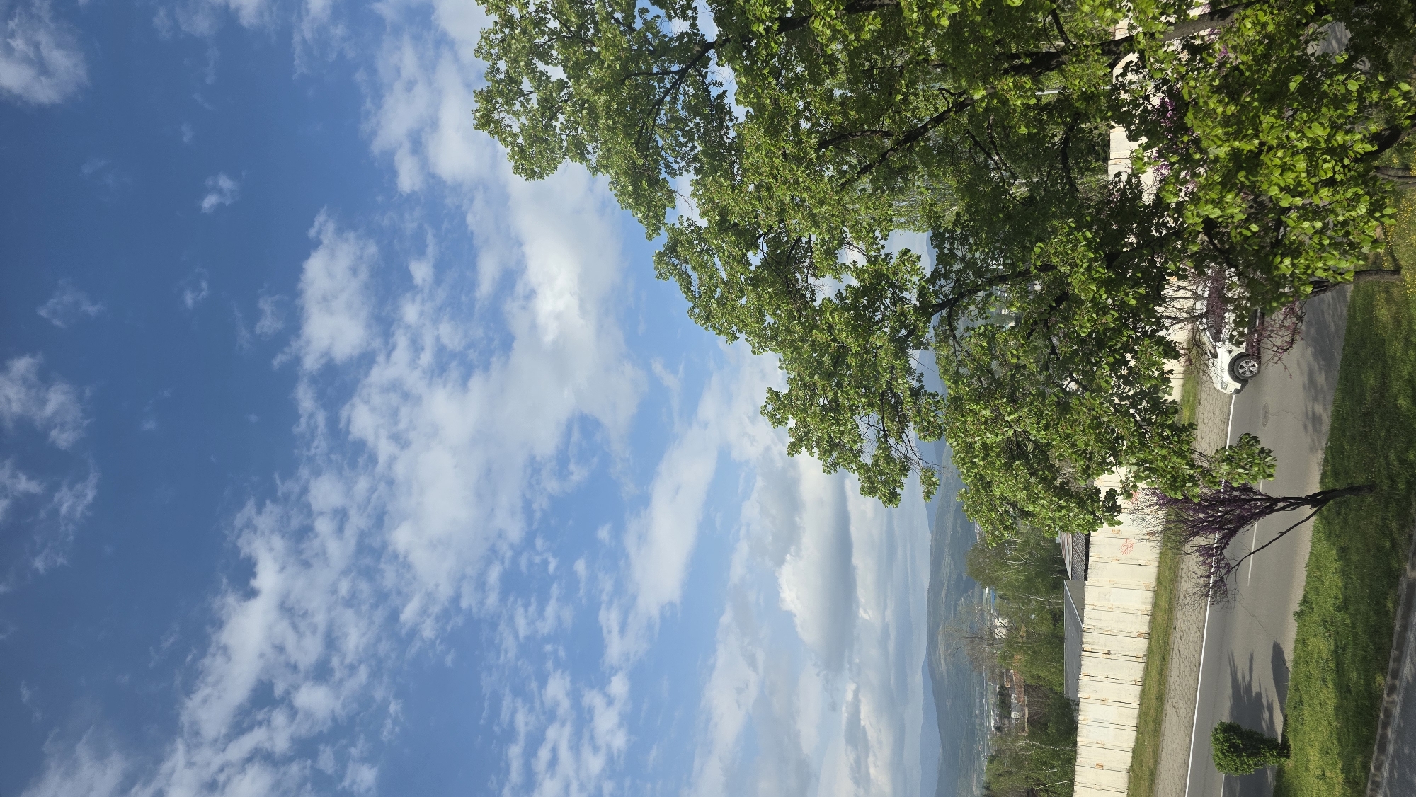 The image, viewed in an upright orientation, depicts a serene, sunlit landscape scene from Blagoevgrad, Bulgaria, likely captured during late spring or early summer. The top portion of the frame is dominated by a clear, bright blue sky dotted with scattered white, fluffy cumulus clouds, indicating fair weather.
Lush green deciduous trees with abundant foliage frame the upper and right sides of the image, their branches extending into the sky. Below these, an asphalt road with a white dashed center line runs horizontally across the lower part of the frame. A white car, possibly a sedan, is parked off to the right side of the road. Further right, a smaller tree with delicate purplish-red blossoms adds a touch of color.
A light-colored concrete barrier or retaining wall stretches parallel to the road on the left, separating it from a slightly lower-lying area. Beyond this, in the distant background, the characteristic rolling mountains or hills surrounding Blagoevgrad are visible, partially obscured by a light atmospheric haze. Green grassy areas line the road and extend beneath the trees.
The scene is tranquil, devoid of any discernible human activity. The time of day appears to be mid-day, with ample natural light illuminating the landscape. No visible text or identifiable markings are present in the image.