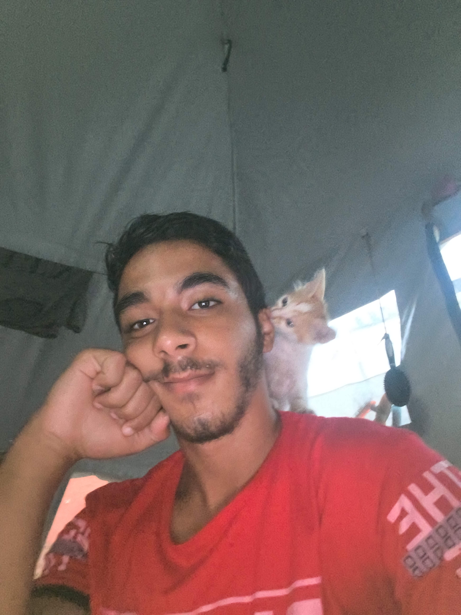A young man wearing a red t-shirt is taking a selfie in what appears to be a tent. He has dark hair and a light beard, and he is resting his chin on his hand. A small orange and white kitten is perched on his shoulder and playfully nipping at his ear. The background is a gray tent fabric, with a window or opening visible on the right side, letting in bright light. The overall impression is a candid and affectionate moment captured between the man and the kitten.