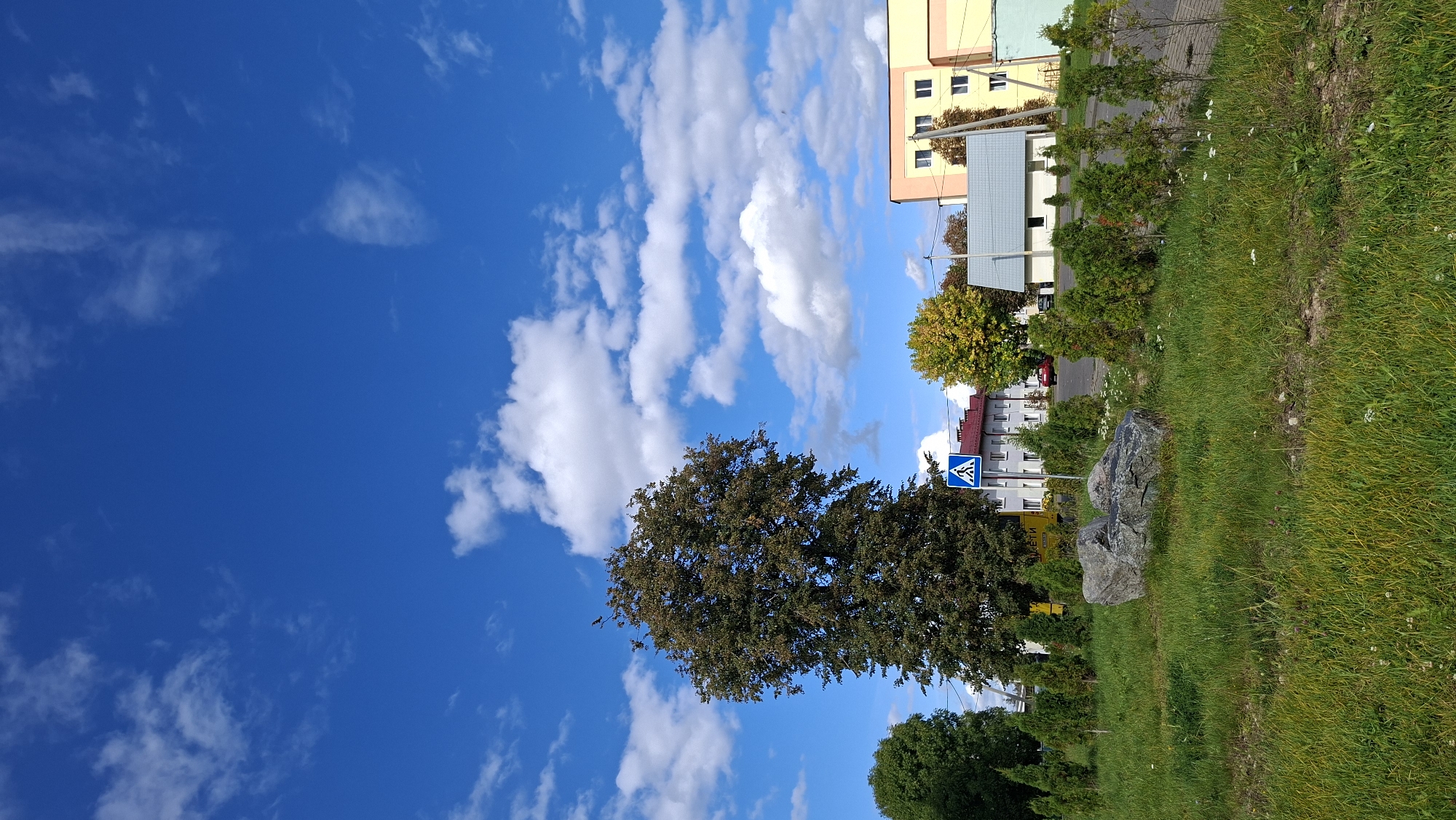 The image depicts a street scene in Myadzyel, Belarus, under a bright blue sky with scattered white clouds. In the foreground, a grassy area is dotted with small white flowers and features a large, grey boulder. A row of small, conical evergreen trees lines the edge of the grass. A tall, mature deciduous tree with a full canopy of dark green leaves stands prominently in the middle ground, with a bird perched on its upper branches. A pedestrian crossing sign with a blue triangular background and a white pedestrian symbol is visible behind the tree.
Beyond the grassy area and trees, a street runs horizontally across the image. On the other side of the street, several buildings are visible. To the left, a multi-story building with a red roof and cream-colored facade is partially obscured by the large tree. Further to the right, a smaller, modern building with a grey roof and light-colored walls stands adjacent to a taller, multi-story building with a yellow and pink facade. The yellow building has multiple windows and appears to be an apartment or office building. A red car is parked on the street. The environment appears to be a well-maintained urban or suburban area.