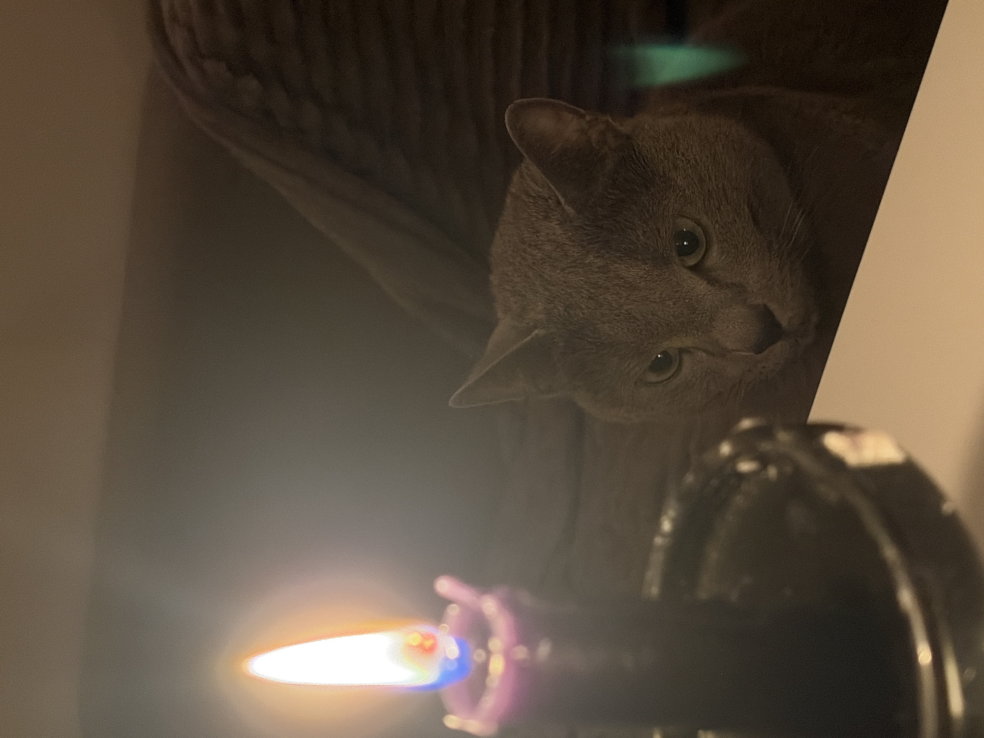 This close-up image, taken in Budva, Montenegro, features a grey cat with luminous green-yellow eyes, intently gazing towards a bright light source. The cat's head and upper body are visible, positioned against a dark, indistinct background that appears to be a soft surface like a cushion or blanket.
In the foreground, a lit candle or small lamp is prominently displayed, emitting a vibrant flame with distinct orange, red, and blue hues. The light source is slightly out of focus, creating a bright glow that illuminates the cat's face and eyes. The candle appears to be set in a dark or possibly purple holder. A blurred, dark object is also partially visible in the bottom right corner of the frame.
The scene suggests an indoor setting during evening or nighttime due to the low ambient light, with the candle serving as the primary illumination. The cat's expression is one of curiosity and focus, drawn by the flame. The image is notably rotated clockwise. There is no visible text.