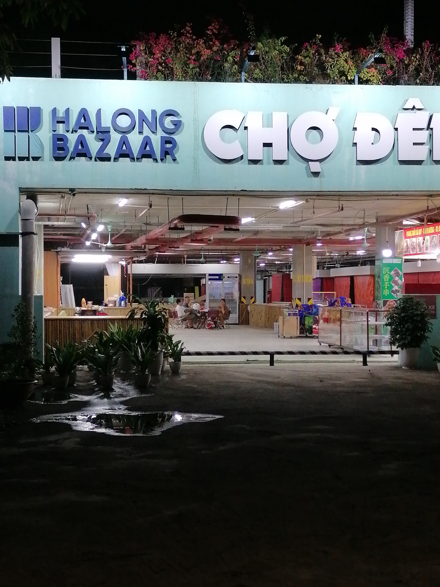 The image depicts the illuminated entrance of the Halong Bazaar and Chợ Đêm (Night Market) at night, located in Bai Chay Ward, Vietnam.
The main subjects are the large, prominent signs above the entrance, which read "HALONG BAZAAR" in blue block letters on the left and "CHỢ ĐÊM" in white block letters on the right, both set against a light blue-green wall. Above the signs, a vibrant display of pink and red flowers spills over a railing.
The scene is set at night, indicated by the dark surroundings and the bright artificial lighting emanating from inside the market. A notable detail is a large puddle reflecting the interior lights on the dark ground in the foreground, suggesting recent rain or wet conditions. Potted plants line the exterior along the market's edge.
Inside, the market appears spacious and well-lit with numerous overhead fluorescent lights and ceiling fans. Several individuals are visible within the market, some seated at tables and others standing near stalls, suggesting activities like shopping, dining, or socializing. The interior features various market stalls, some with red coverings, glass display cases, and refrigeration units. Wooden barriers outline certain areas, possibly for seating or specific vendors. Further inside, a green sign with Chinese characters and additional text is visible, along with alphanumeric labels "B104" and "B103" on structural pillars.
