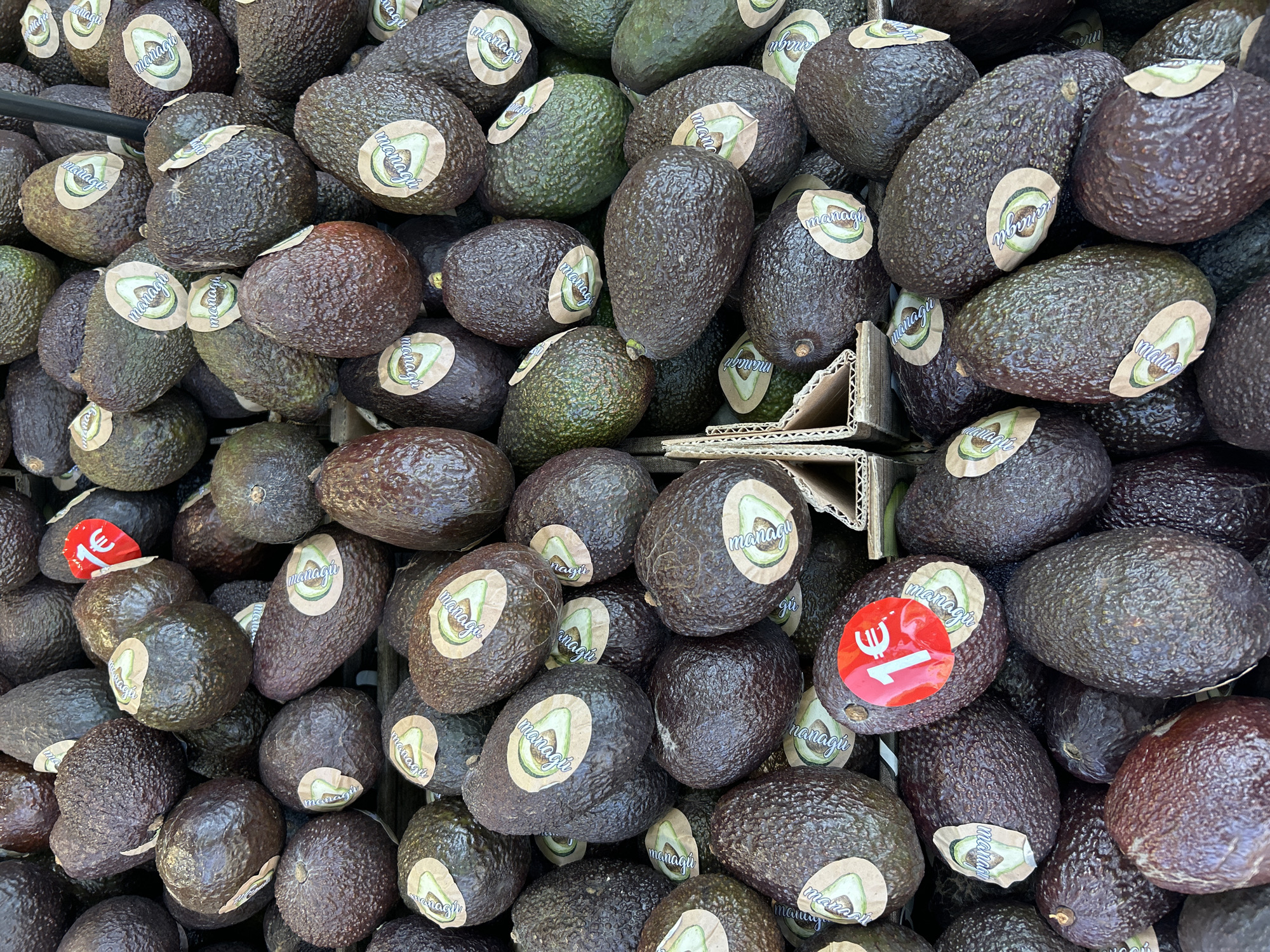 A close-up, high-angle shot captures a large display of avocados, likely in a supermarket or market in Barcelona, Spain. The avocados are piled high, filling the frame and creating a textured, dark green and brownish-purple pattern. Most of the avocados appear to be ripe or nearly ripe, with their characteristic pebbled skin. Some retain a greener hue, while others have darkened to a deep brown or blackish-purple.
Numerous avocados are adorned with circular, light-colored stickers. The text "managu" (with slight variations like "nanagu", "managú", "managi") is prominently displayed on these stickers, often accompanied by a simple illustration of an avocado half. Two red, circular price stickers are visible: one prominently on an avocado towards the bottom right of the frame, clearly showing "1€", and another partially visible on an avocado on the left side, also indicating "1€". The euro currency symbol on the price stickers, combined with the location context, firmly places the scene in Europe, specifically Spain. Bits of corrugated cardboard are visible between some avocados, suggesting they are contained within crates or boxes for display. The lighting is bright and even, highlighting the textures of the avocado skins and the details of the labels.