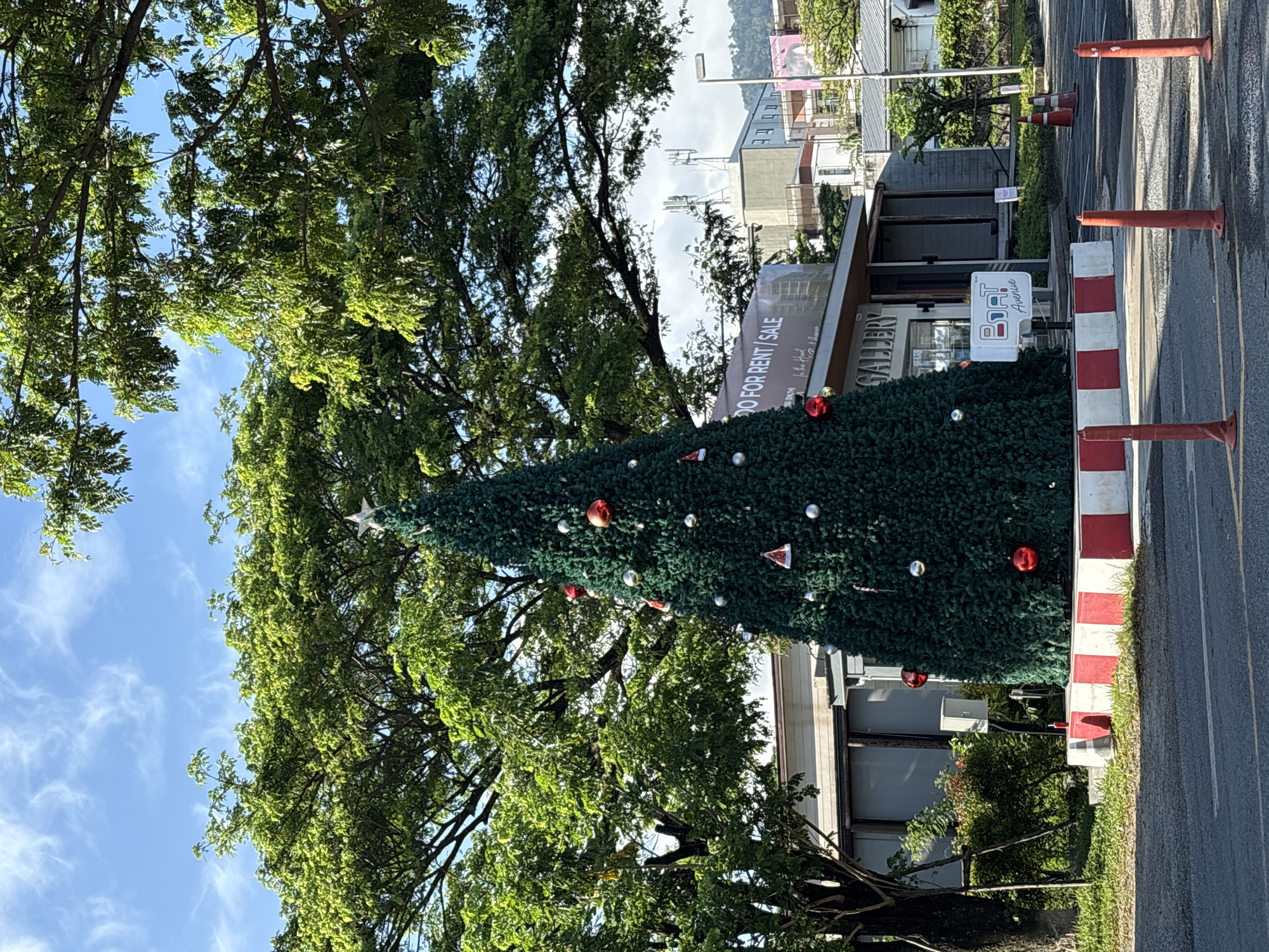 A large, decorated artificial Christmas tree stands in front of a commercial building on a sunny day. The tree is green and conical, adorned with red and silver ornaments, and topped with a star. The base of the tree is surrounded by a red and white striped barrier. Behind the tree, a building with a sign that reads "DO FOR RENT / SALE" and "GALLERY" is visible. The building has a modern architectural style. Further in the background, there are more buildings, trees, and a clear blue sky with wispy clouds. The scene appears to be in an urban or suburban area, possibly a street or a plaza. The location is identified as Choeng Thale, Thailand. Several orange traffic cones are placed on the asphalt road in front of the scene.