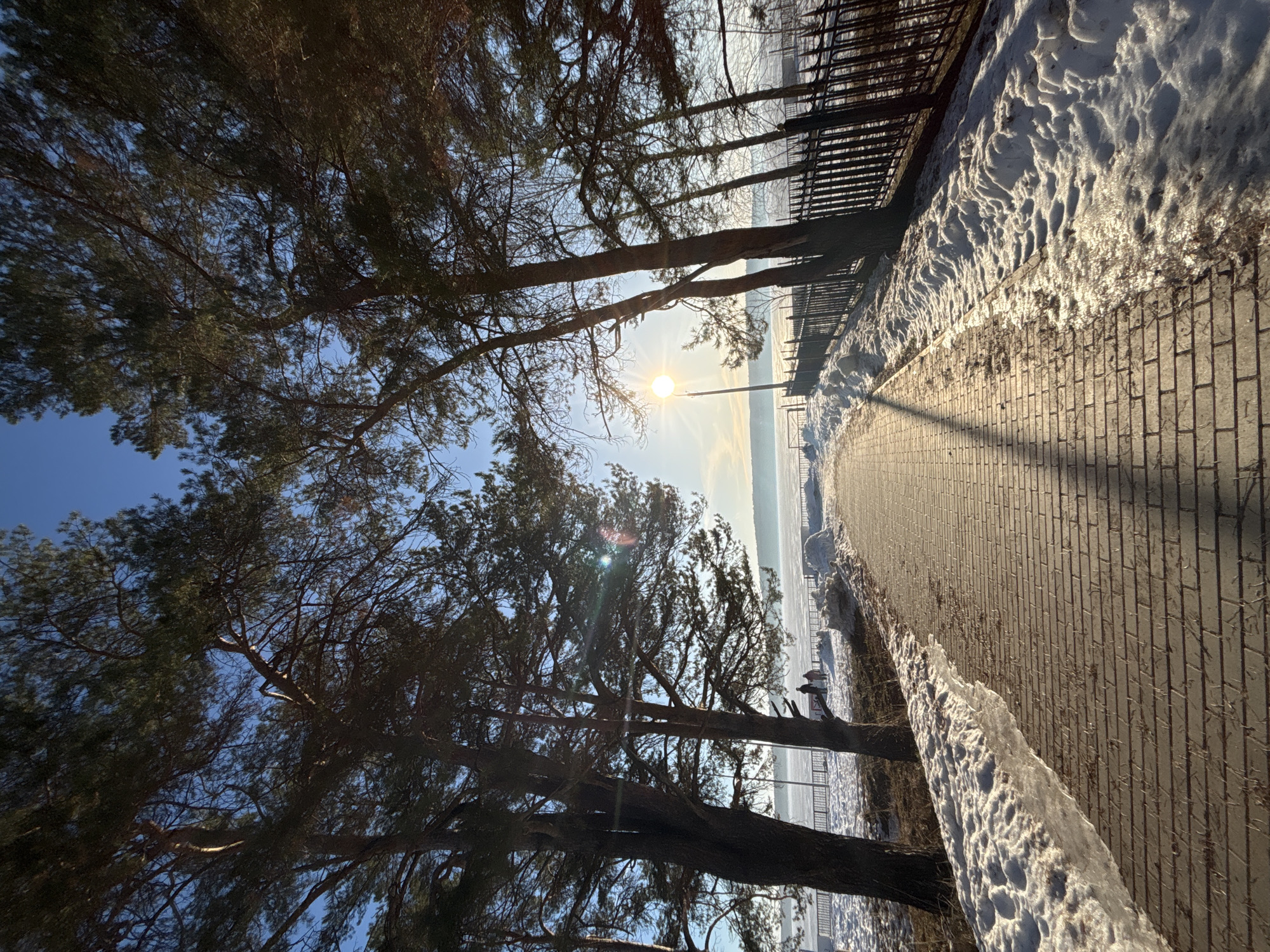 The image shows a brick path running alongside a snow-covered area with a metal fence. Several trees stand to the left of the path, partially obscuring the sky and the distant landscape. The sun is visible in the sky, creating lens flares. The path appears to be in the city of Chaikovsky, Russia.