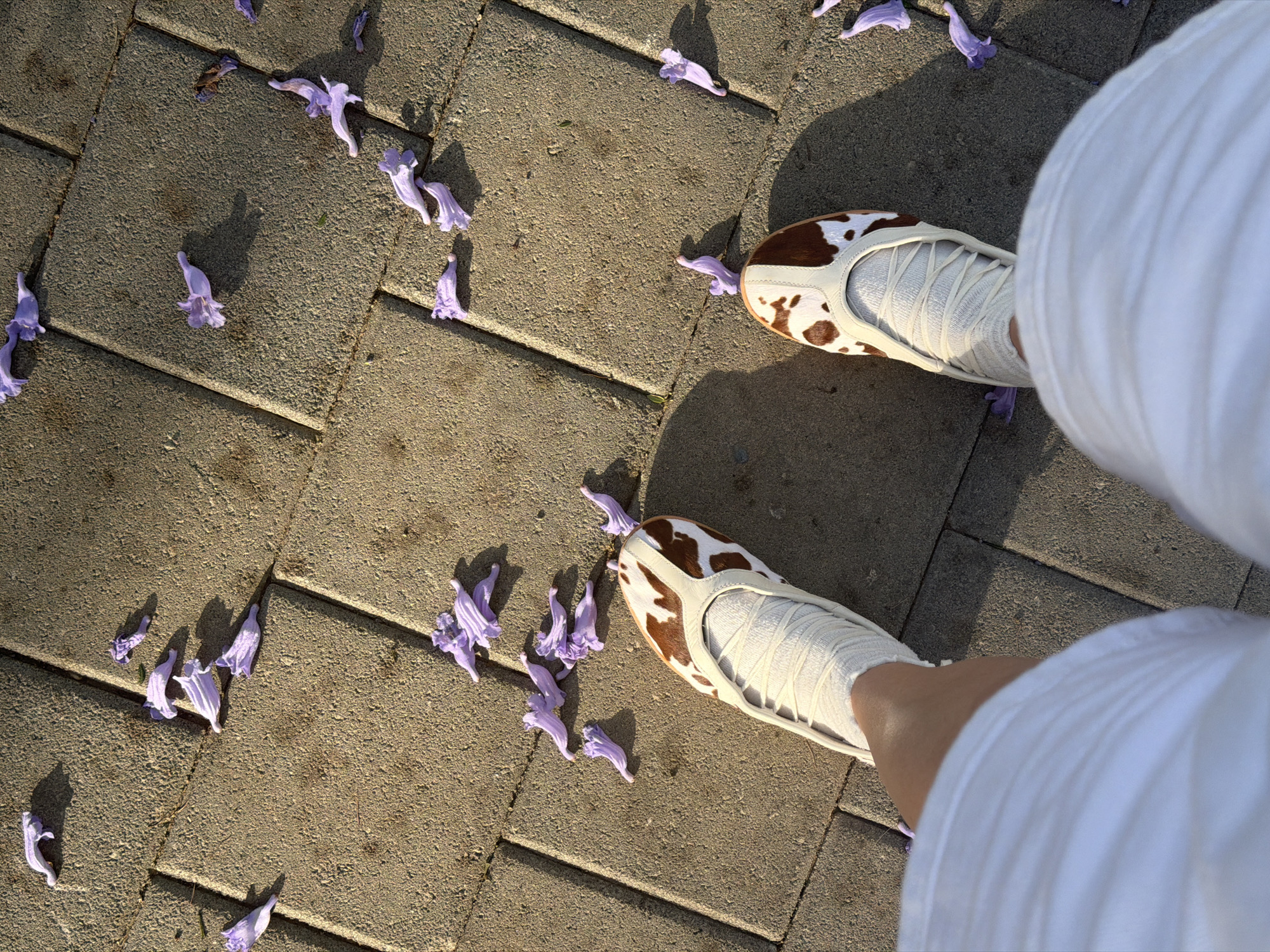 A high-angle shot depicts a person wearing white trousers and cow-print shoes standing on a brick-paved surface, likely a sidewalk or patio. Scattered around their feet are fallen purple flowers. The scene appears to be in a public space, possibly in the city of Tel-Aviv, Israel. The light suggests it is either morning or late afternoon. The overall impression is serene and natural, focusing on the interplay of textures and colors.
