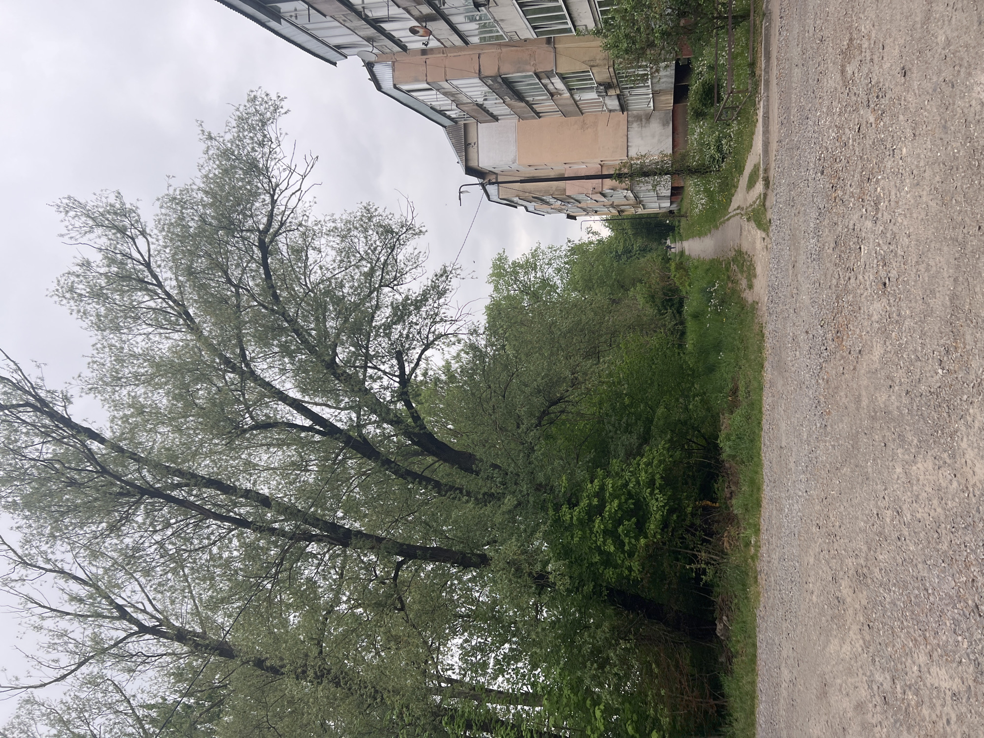 The image depicts an overcast day on a gravel road in what appears to be an urban area, likely in the city of Chervonohrad (formerly Cherliany), Ukraine. A multi-story apartment building with visible windows and balconies borders the upper part of the frame. A line of trees and foliage runs along the left side, contrasting with the building. The gravel road occupies the right side of the frame, stretching into the distance where a path narrows amidst dense vegetation. No people are immediately visible.