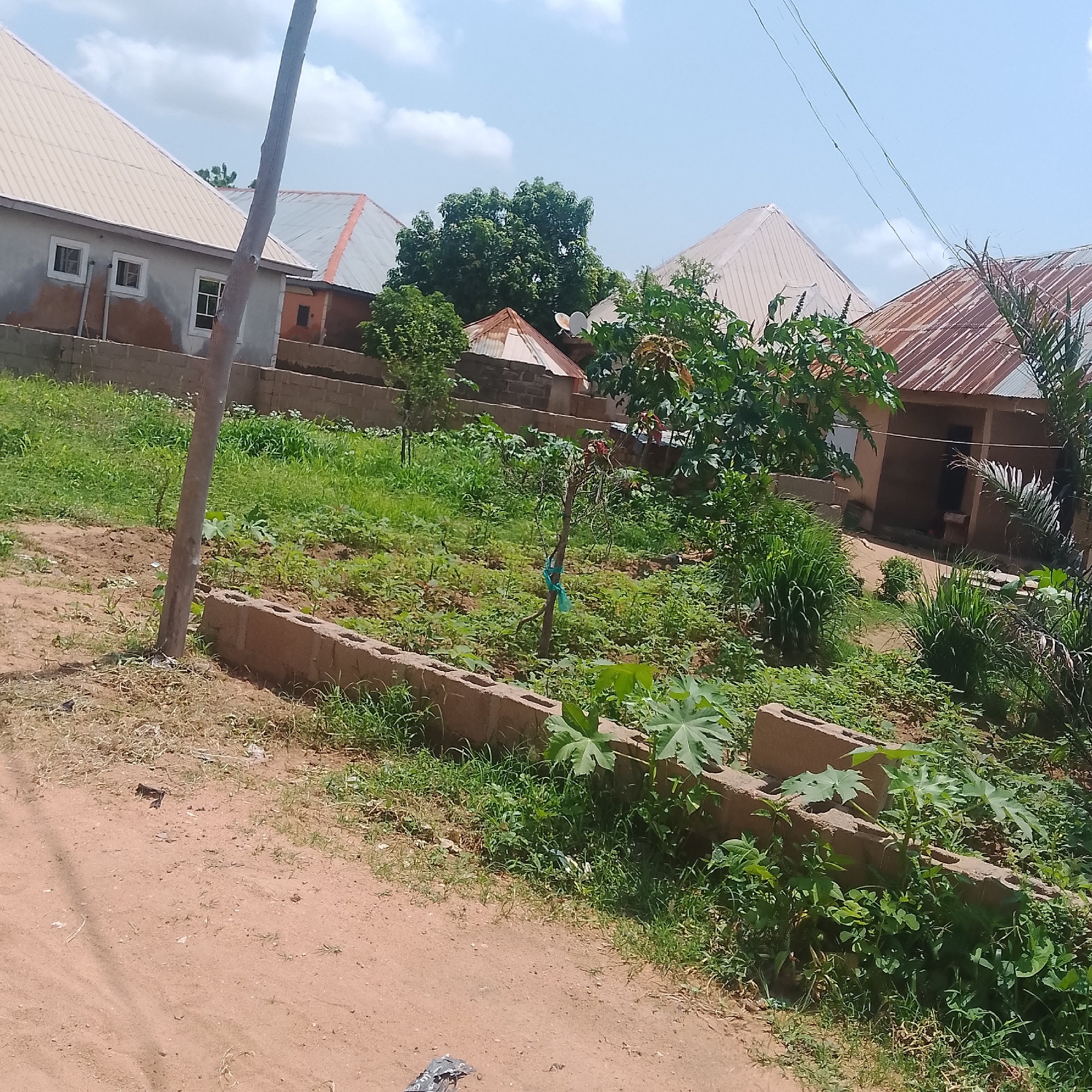 The image depicts a residential area in Jalingo, Nigeria, on a partly cloudy day. In the foreground, a dirt path leads to a garden enclosed by a low wall constructed from cinder blocks. Lush green vegetation, including various plants and grasses, thrives within and around the garden. A wooden pole, likely a utility pole, stands prominently in the left midground. Behind the garden, several houses are visible. These homes feature corrugated metal roofs, some appearing weathered and rusty, while others are newer. One house on the left has a light-colored, gabled roof and several windows. Further back, more buildings with similar roofing styles are scattered amongst trees and other foliage. Satellite dishes are mounted on some of the rooftops, suggesting modern amenities. The overall impression is one of a developing urban or semi-urban environment, characterized by a mix of residential structures and natural greenery.