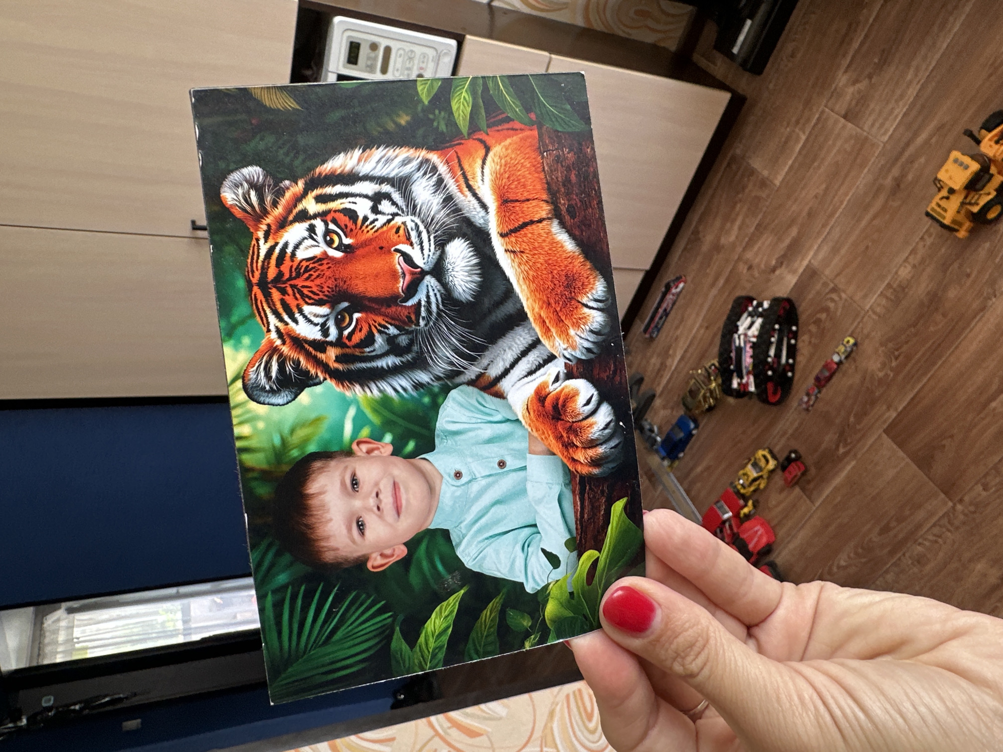In Novoaltaysk, Russia, a photograph is held by a person whose left hand, with red nail polish, is visible in the foreground. The photograph displays a young boy with fair skin and short brown hair, wearing a light blue collared shirt. He is positioned beside a tiger with prominent orange and black stripes, its paws resting on a log. The background of the photograph features lush green foliage, suggesting a jungle setting. Below the photograph, on a wooden floor, are various toy vehicles including a red car, a yellow car, and what appears to be a construction vehicle. The environment includes a dark blue wall and a portion of a light-colored cabinet.